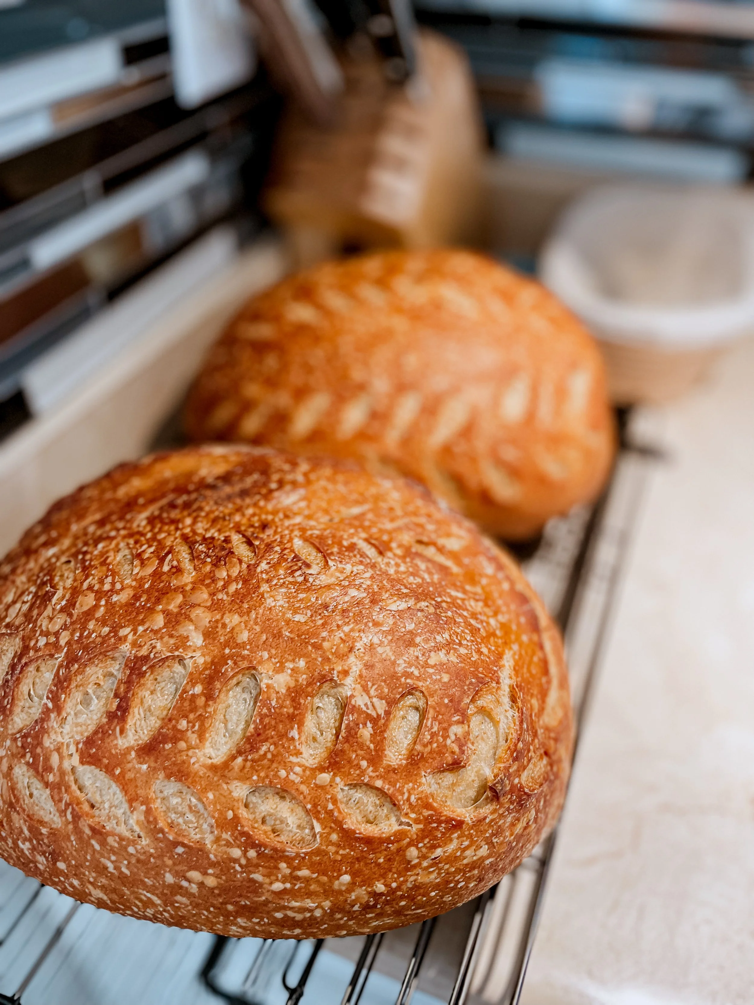 FRIDAY MARCH 20TH - Sourdough Bread Baking with Chef Adam Lockhart