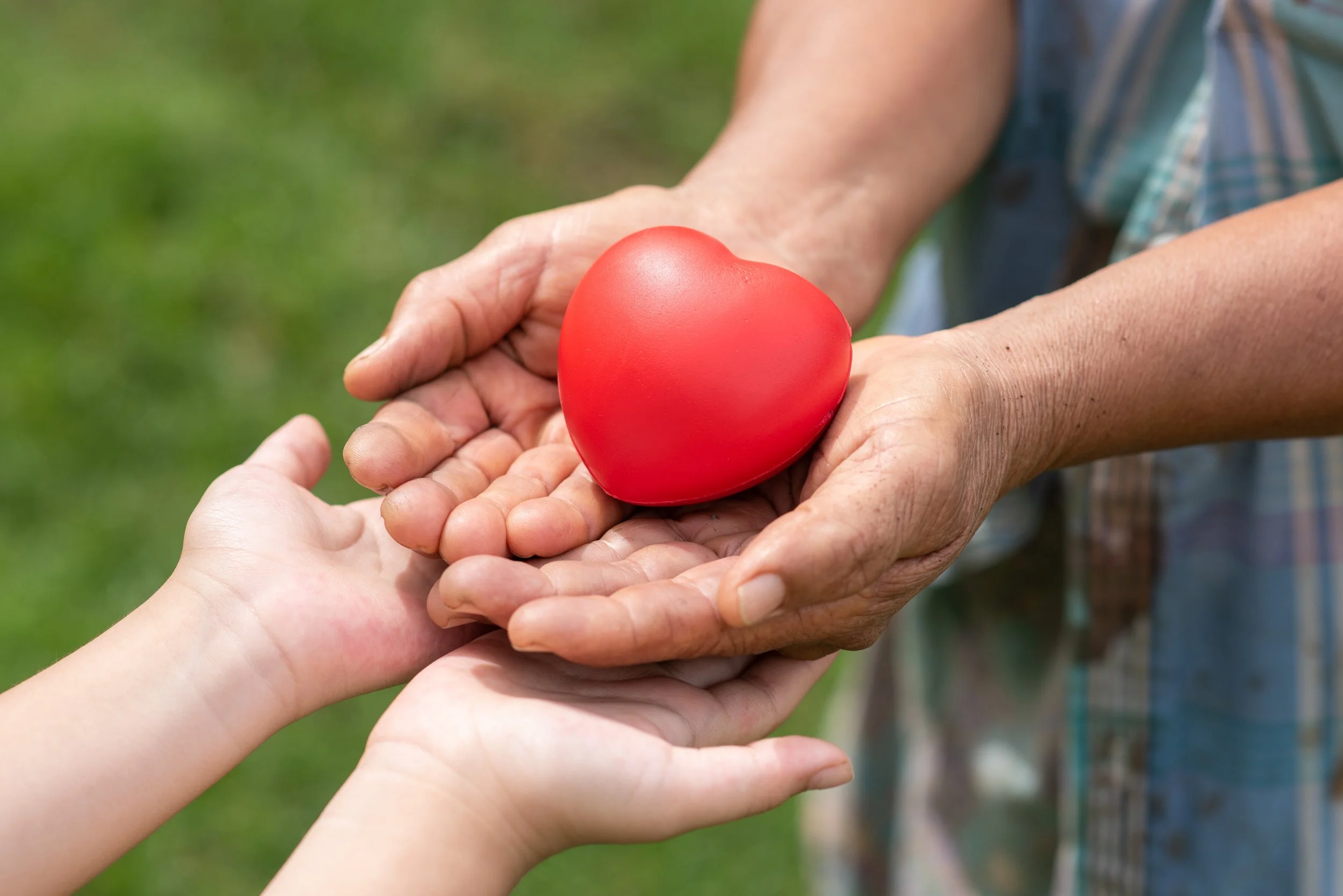 Moves Management: Start a Legacy Giving Program