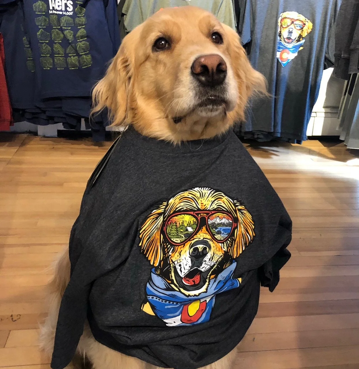 Colorado Mountain Dog Shirt