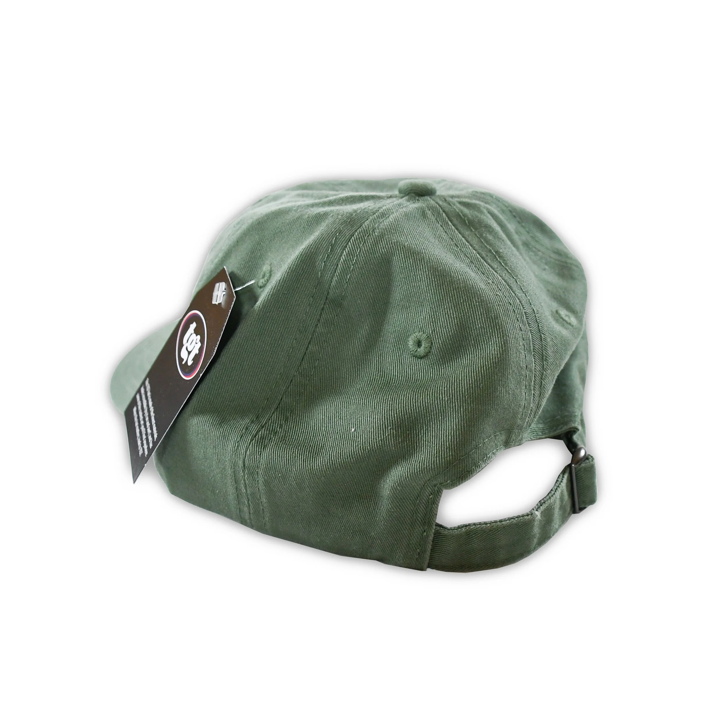 DadCap-TwinLakes-Green(back).jpg