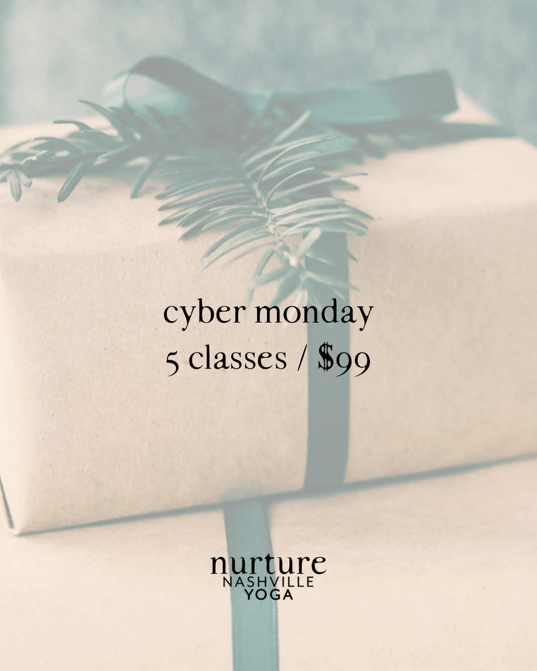 Cyber Monday Deal