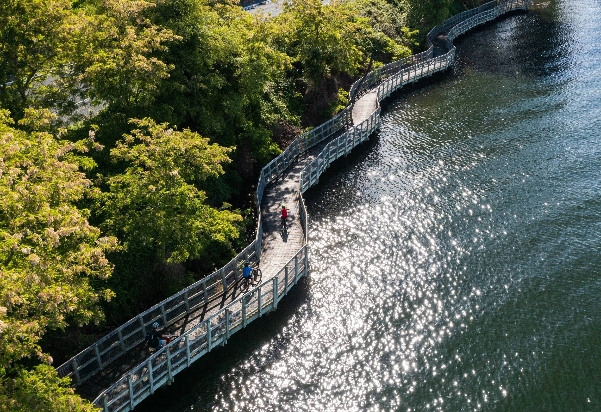 HWT18 Te Awa River Ride.jpg