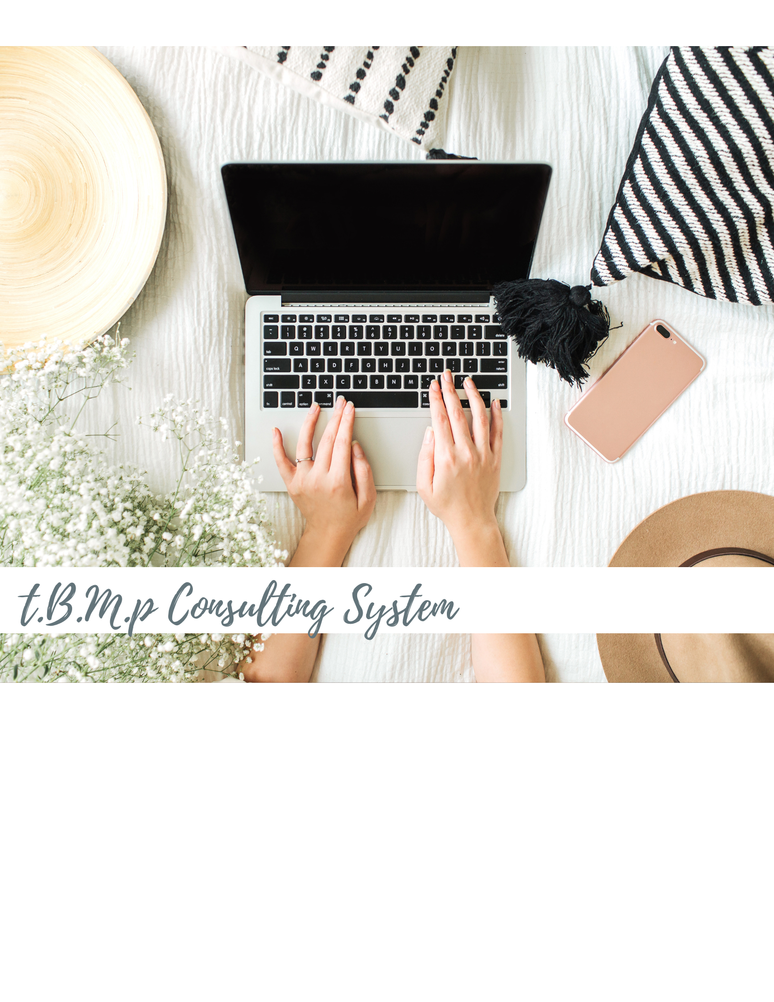 t.B.M.p Consulting System