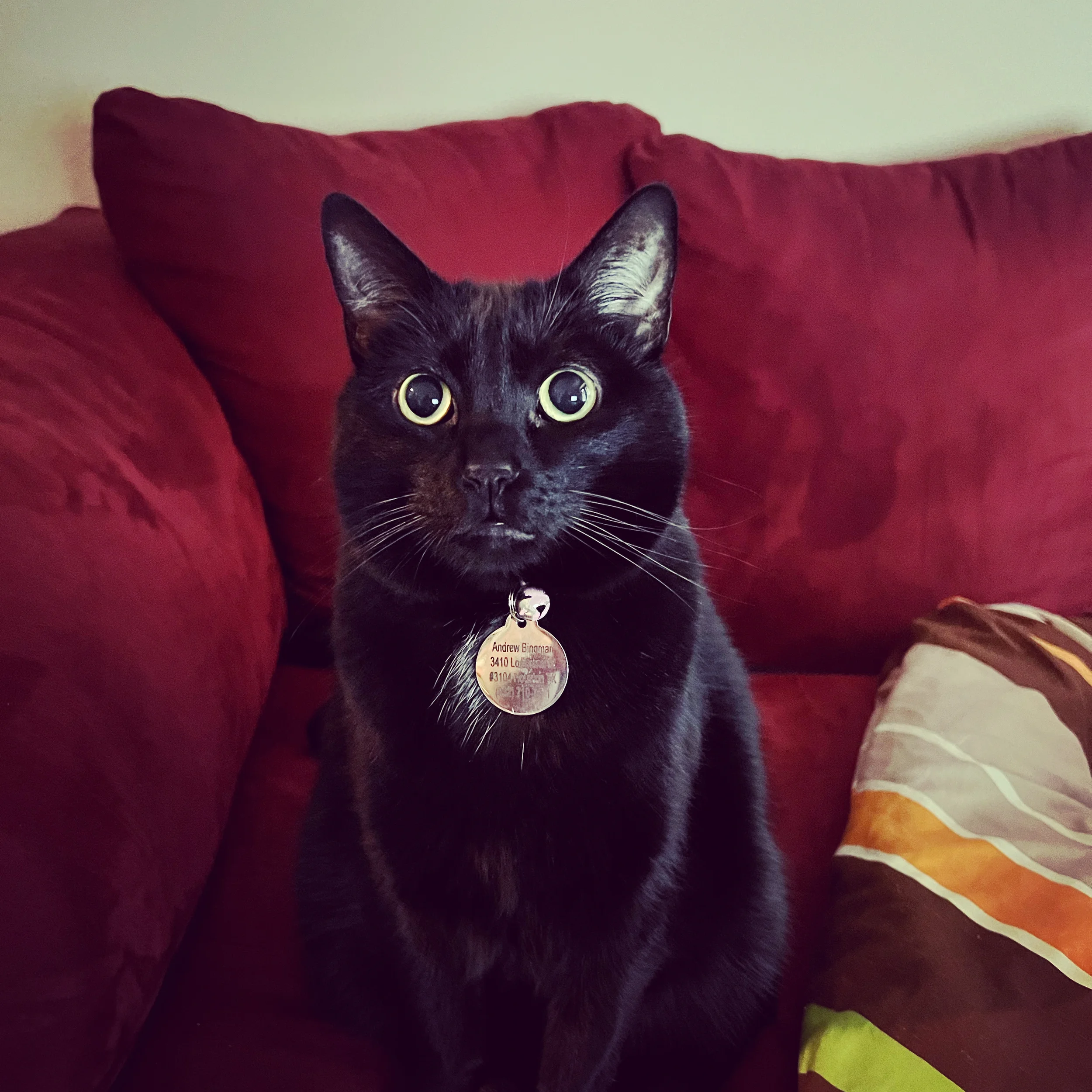 Gay Therapist in Chicago