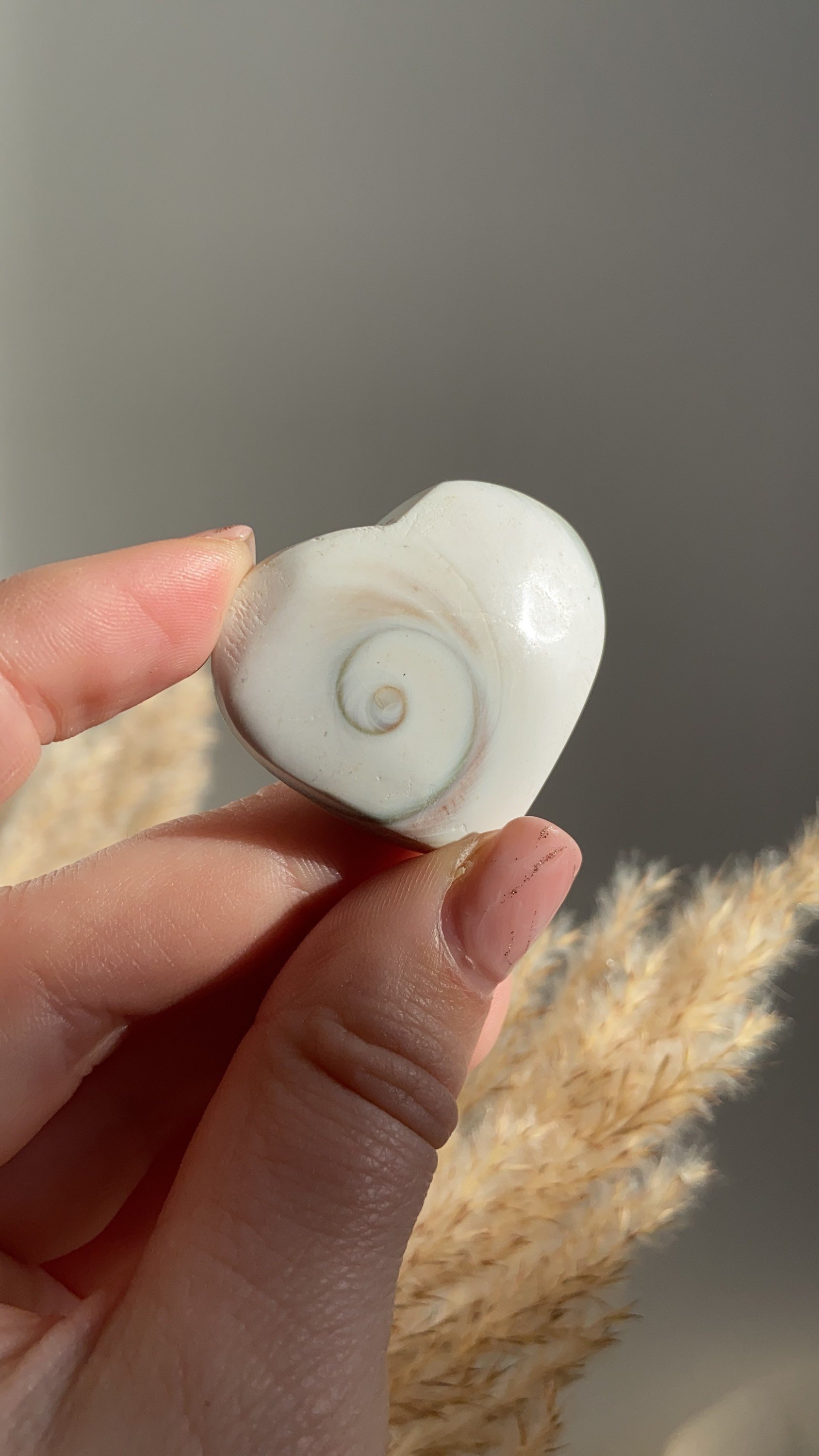 https://i.etsystatic.com/23774462/r/il/91e9dd/3732105025/il_fullxfull.3732105025_w9cu.jpg