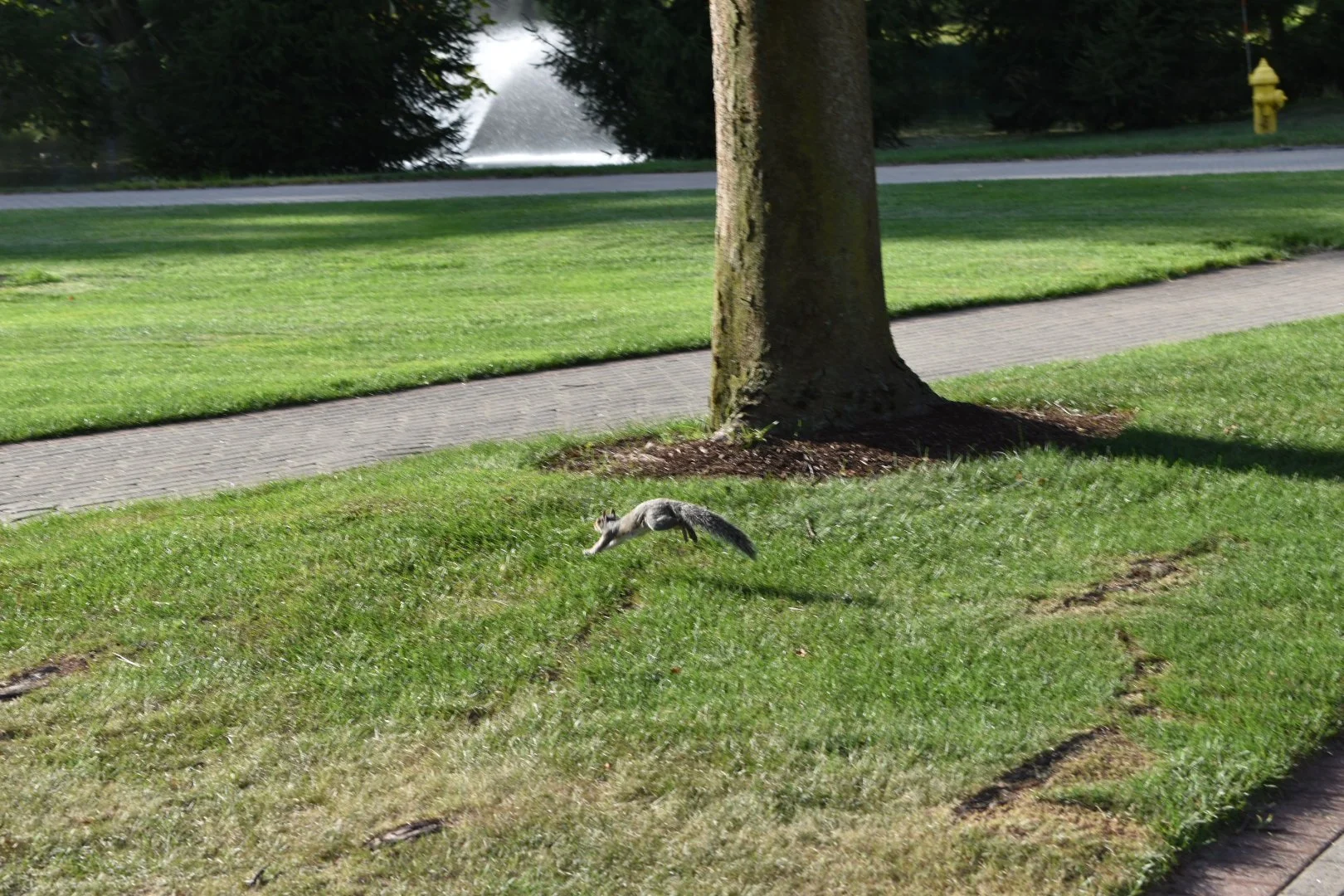 DSC_0077.JPG