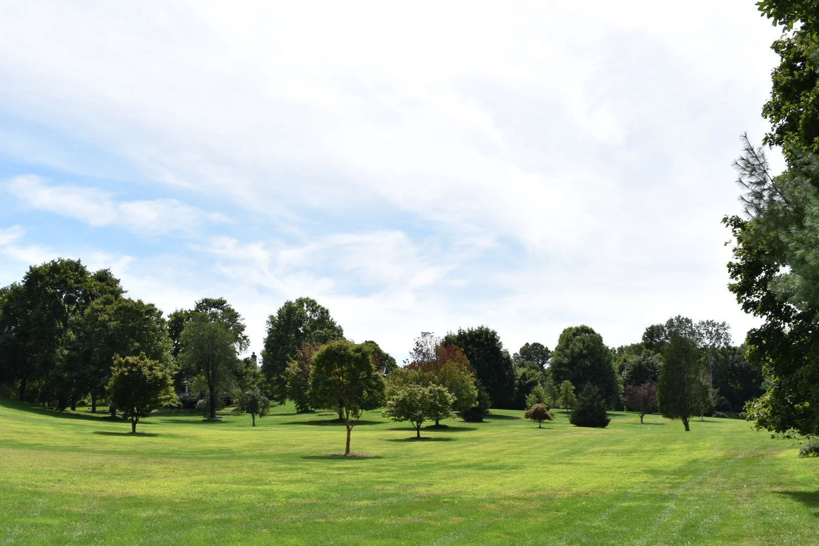 DSC_0150.JPG