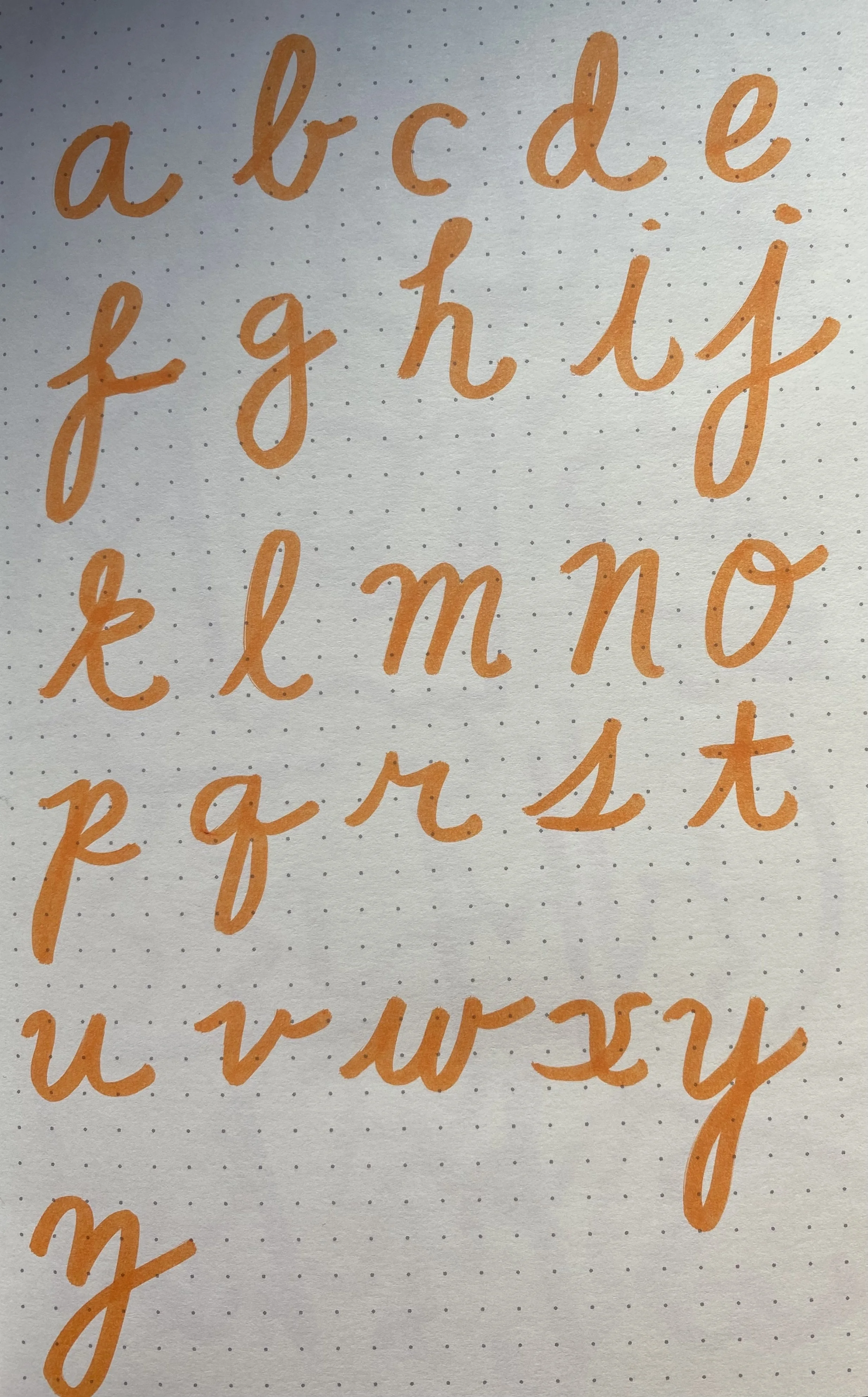 48.jpg