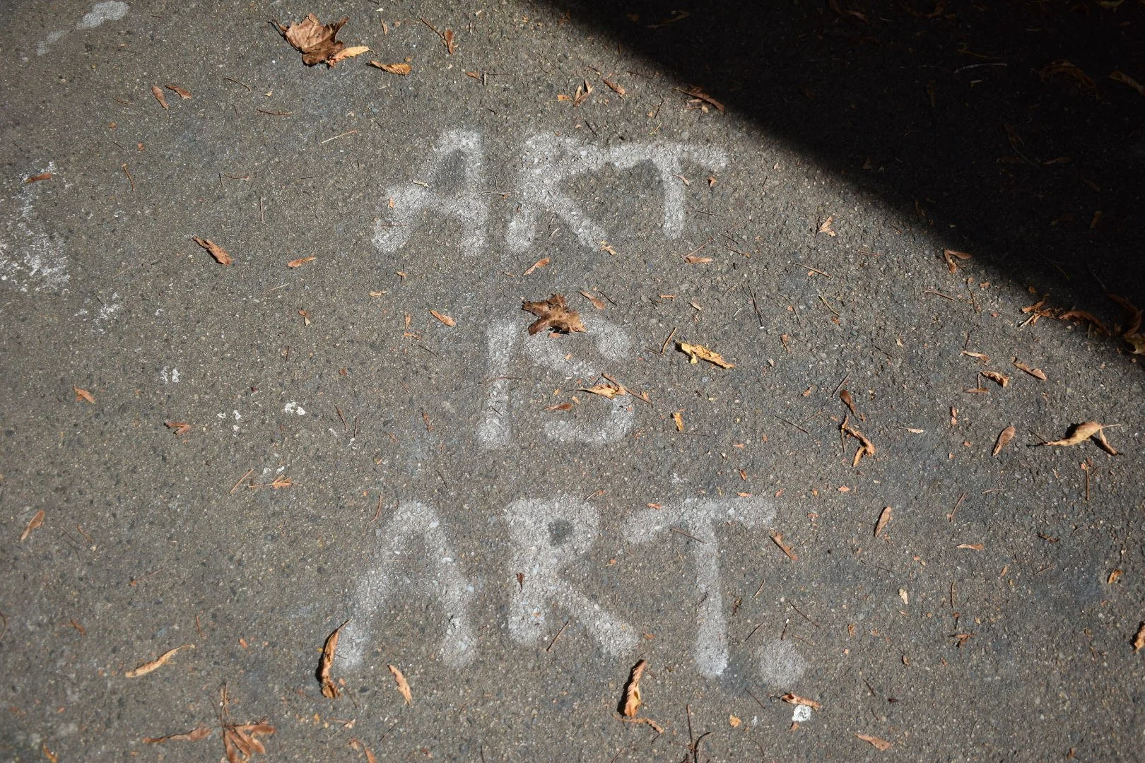 DSC_0584.JPG
