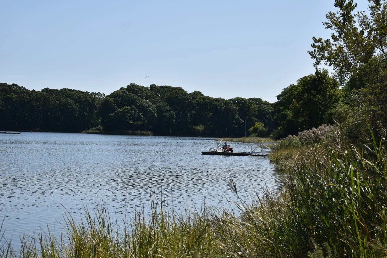 DSC_0552.JPG