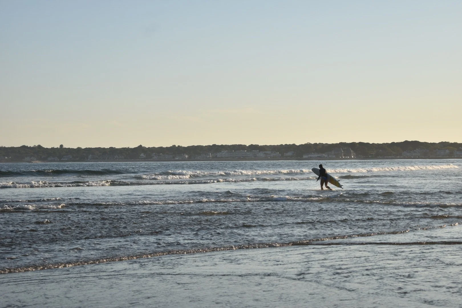 DSC_0708.JPG