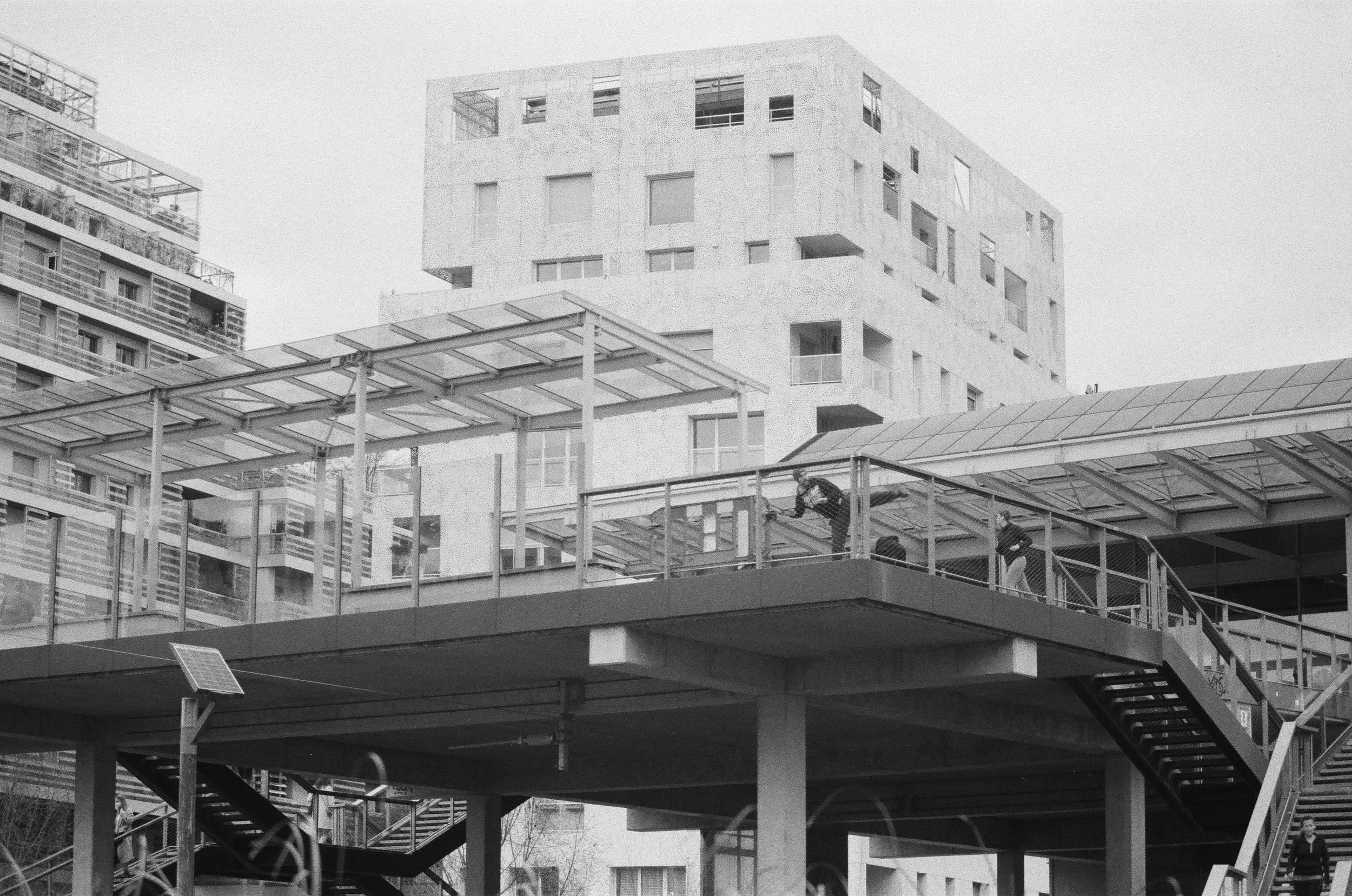 42620018.jpg