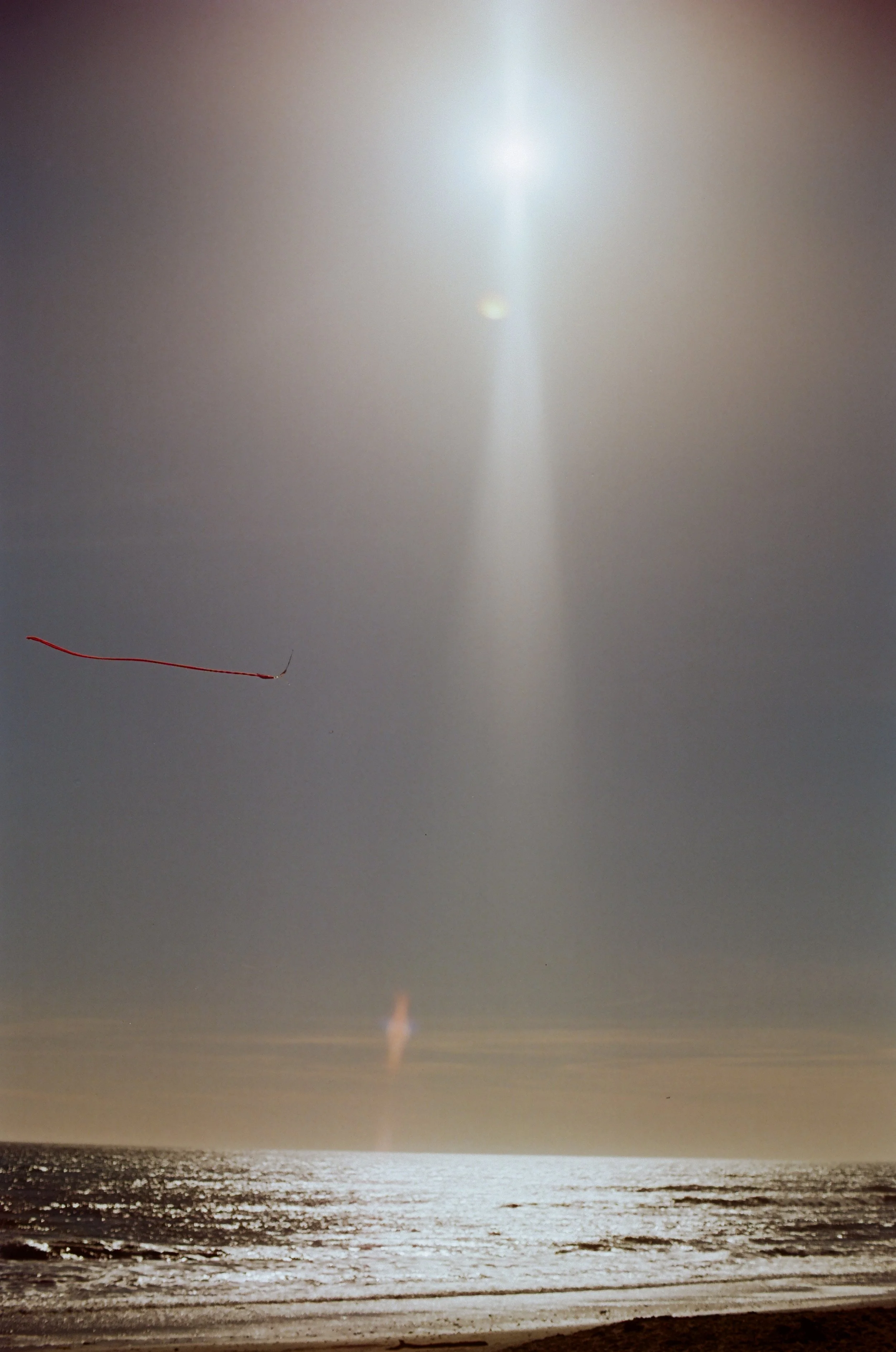 Belles lignes.jpg