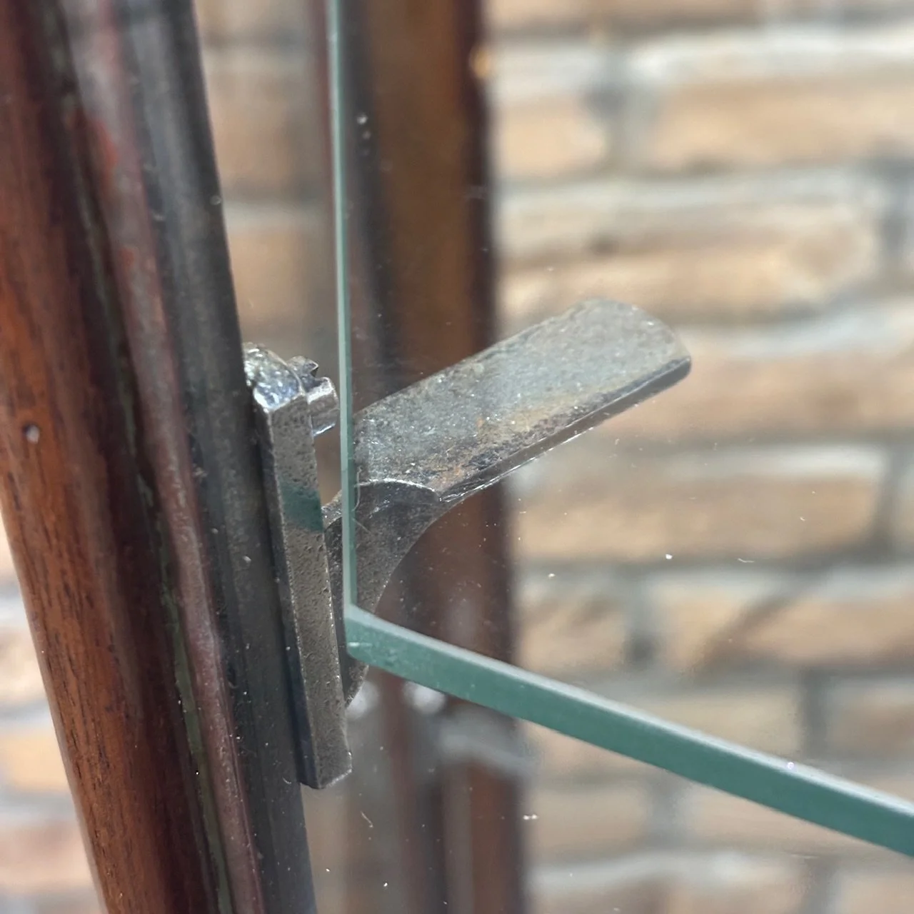 IMG_7383.jpeg