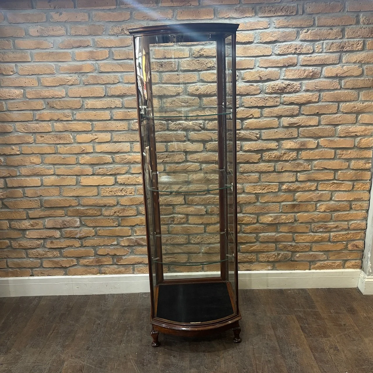 Mahogany Bow Front Display Cabinet by All Away & Co.