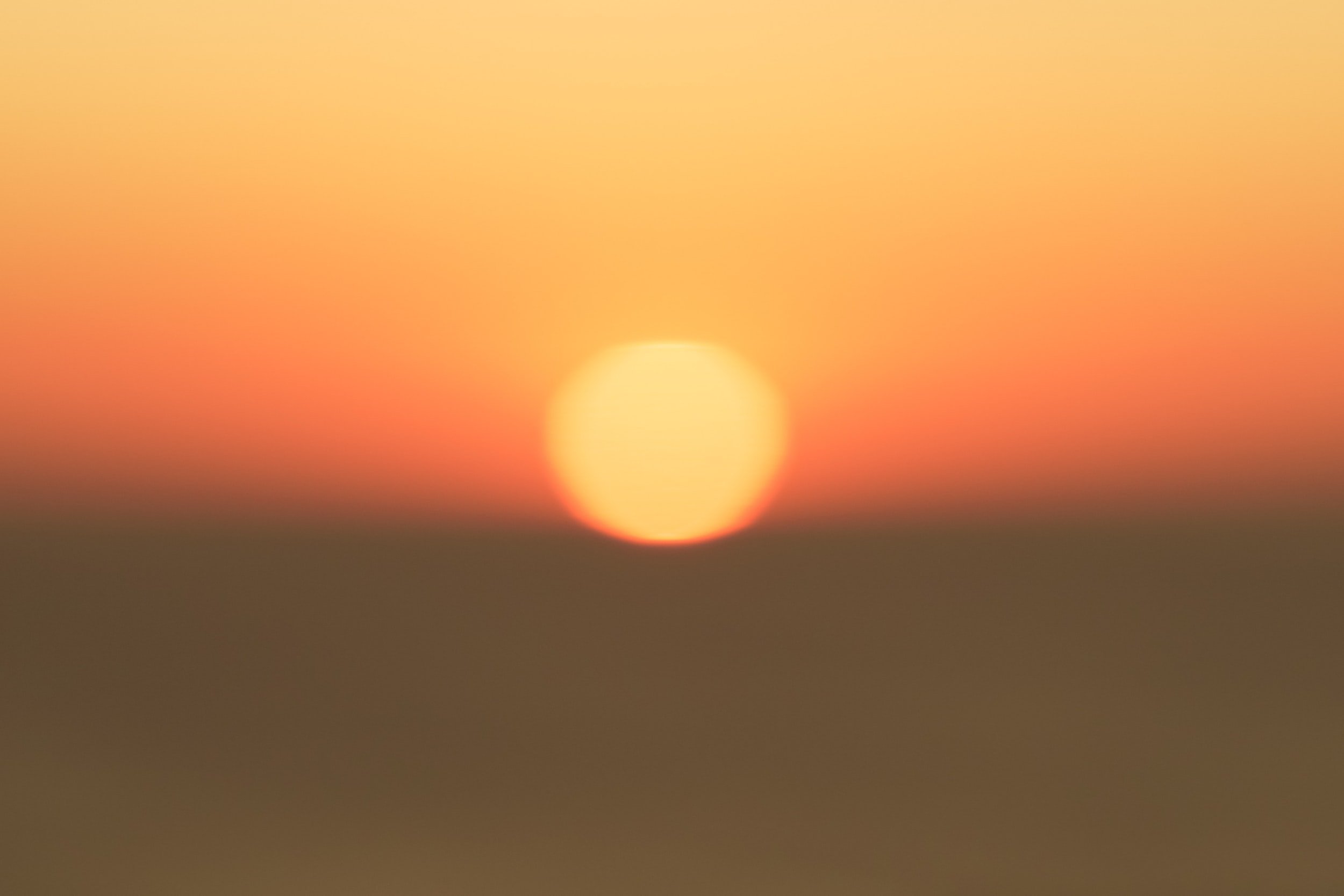 The troubling ways a heatwave can warp your mind