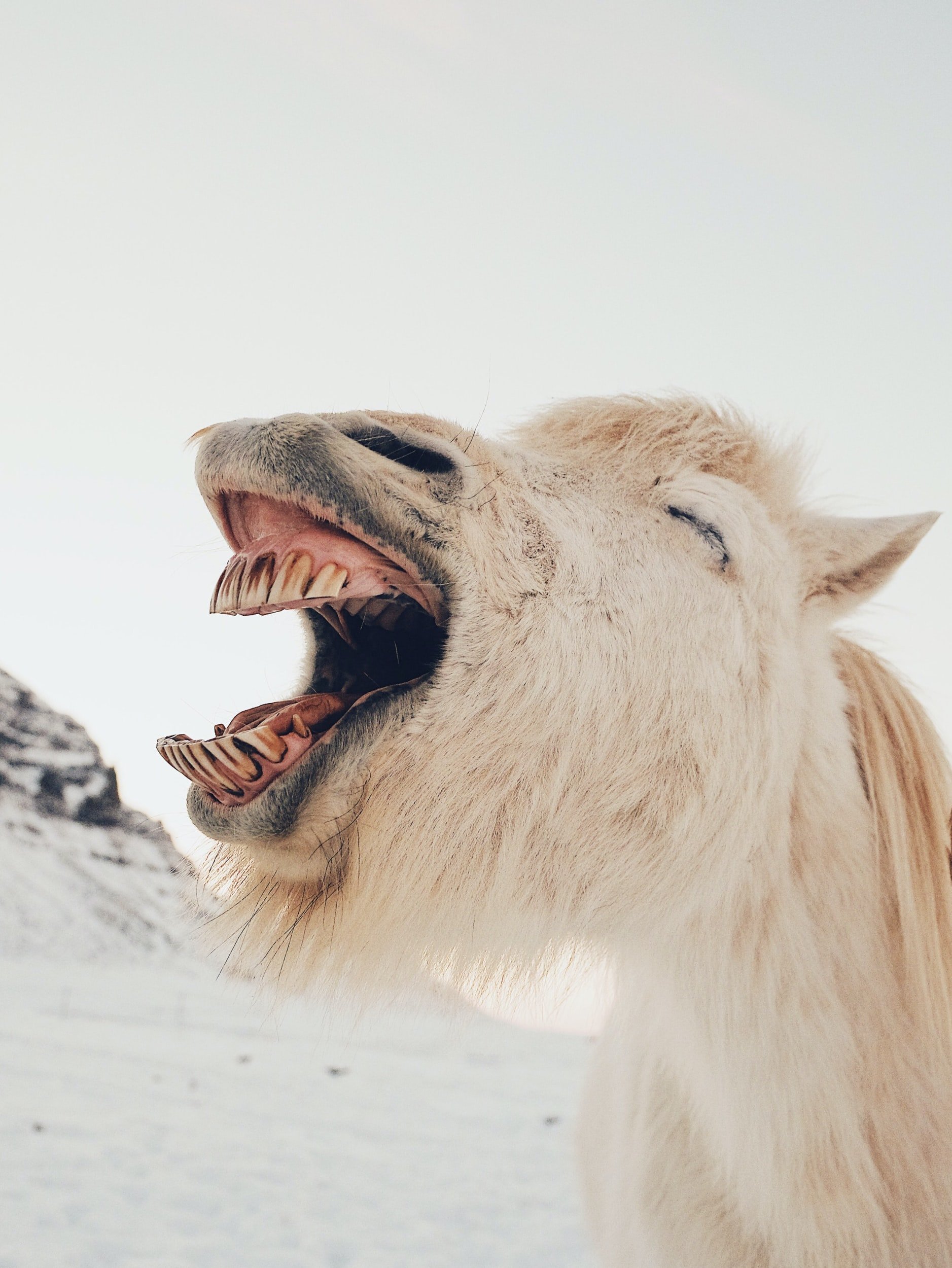 Why do people laugh? You asked Google – and here’s the answer