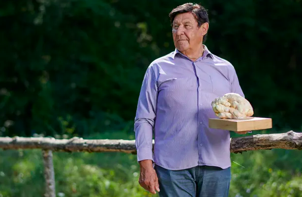 Experience: I found the largest truffle in the world