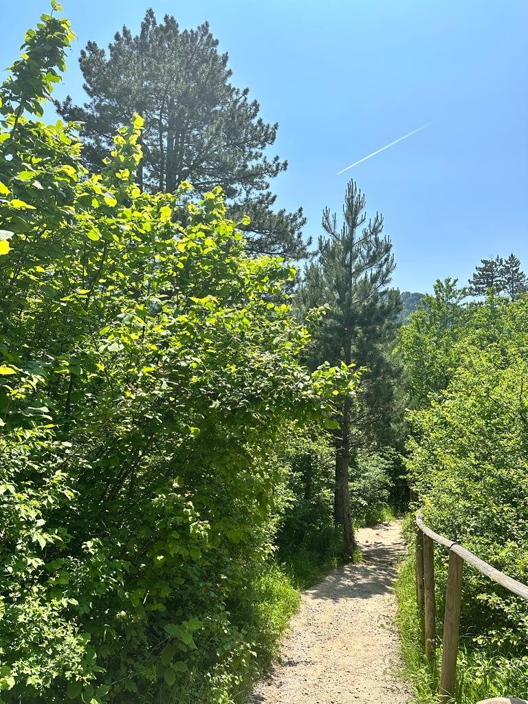 Trebevič bush walk