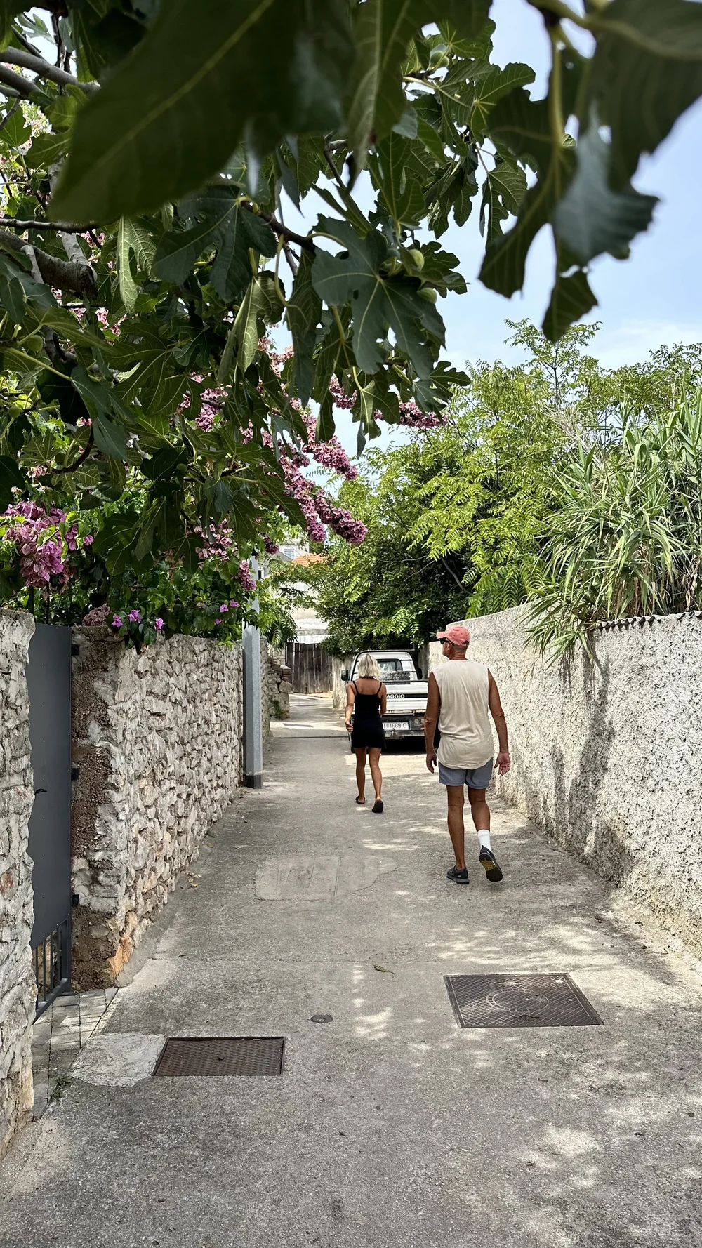 IMG_5855.jpeg