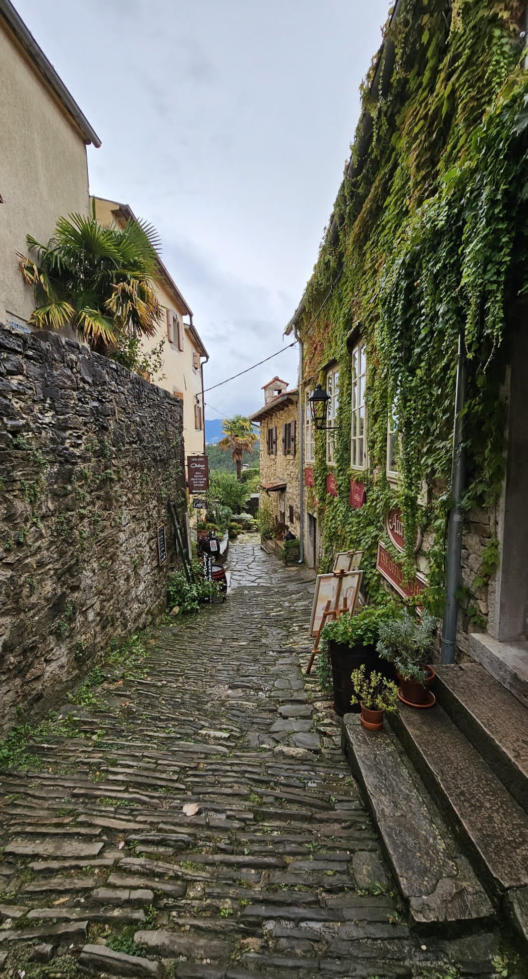 82fa71e5-ff54-466c-ae4d-2dce645b35ff.jpg