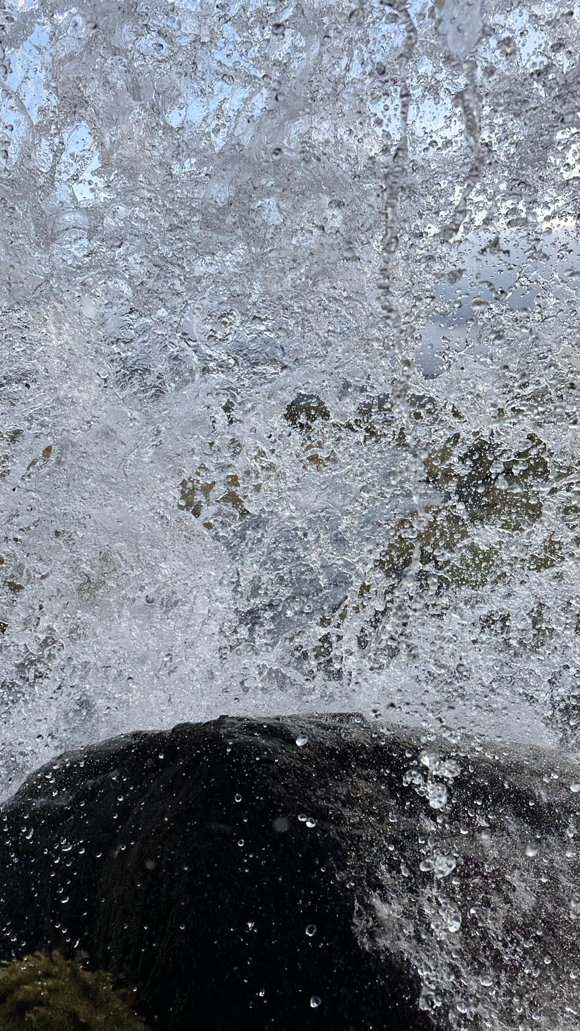 IMG_6537.jpeg