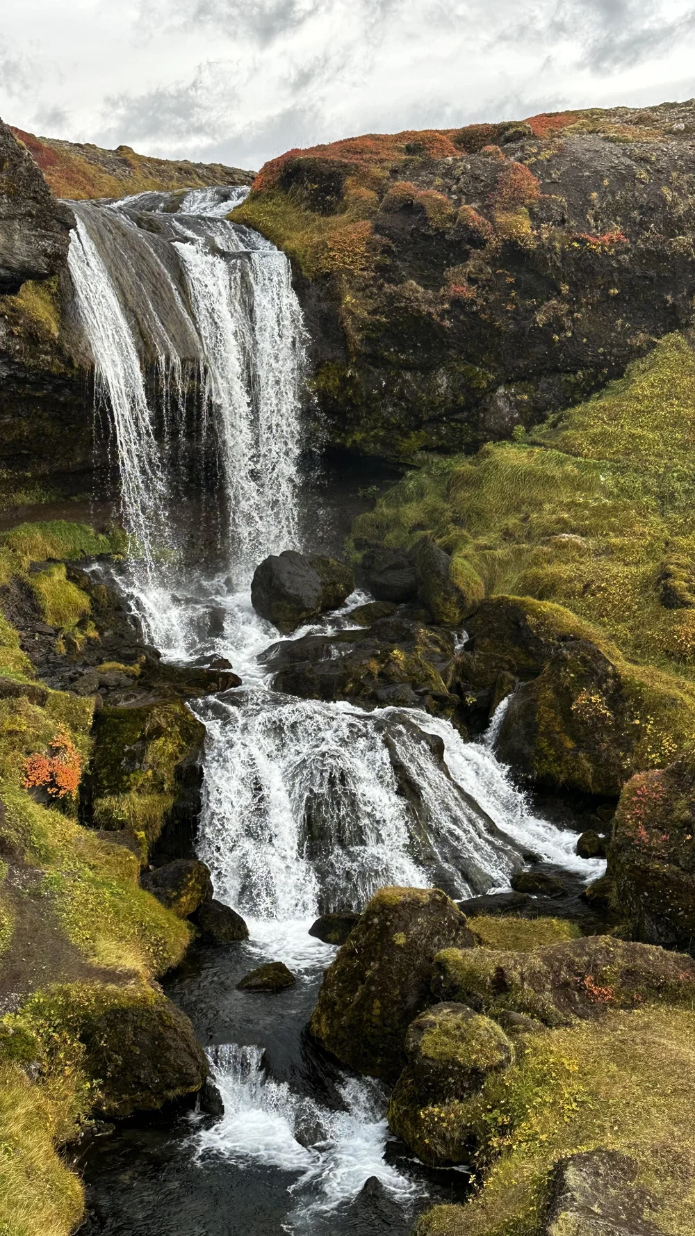 IMG_7357.jpeg