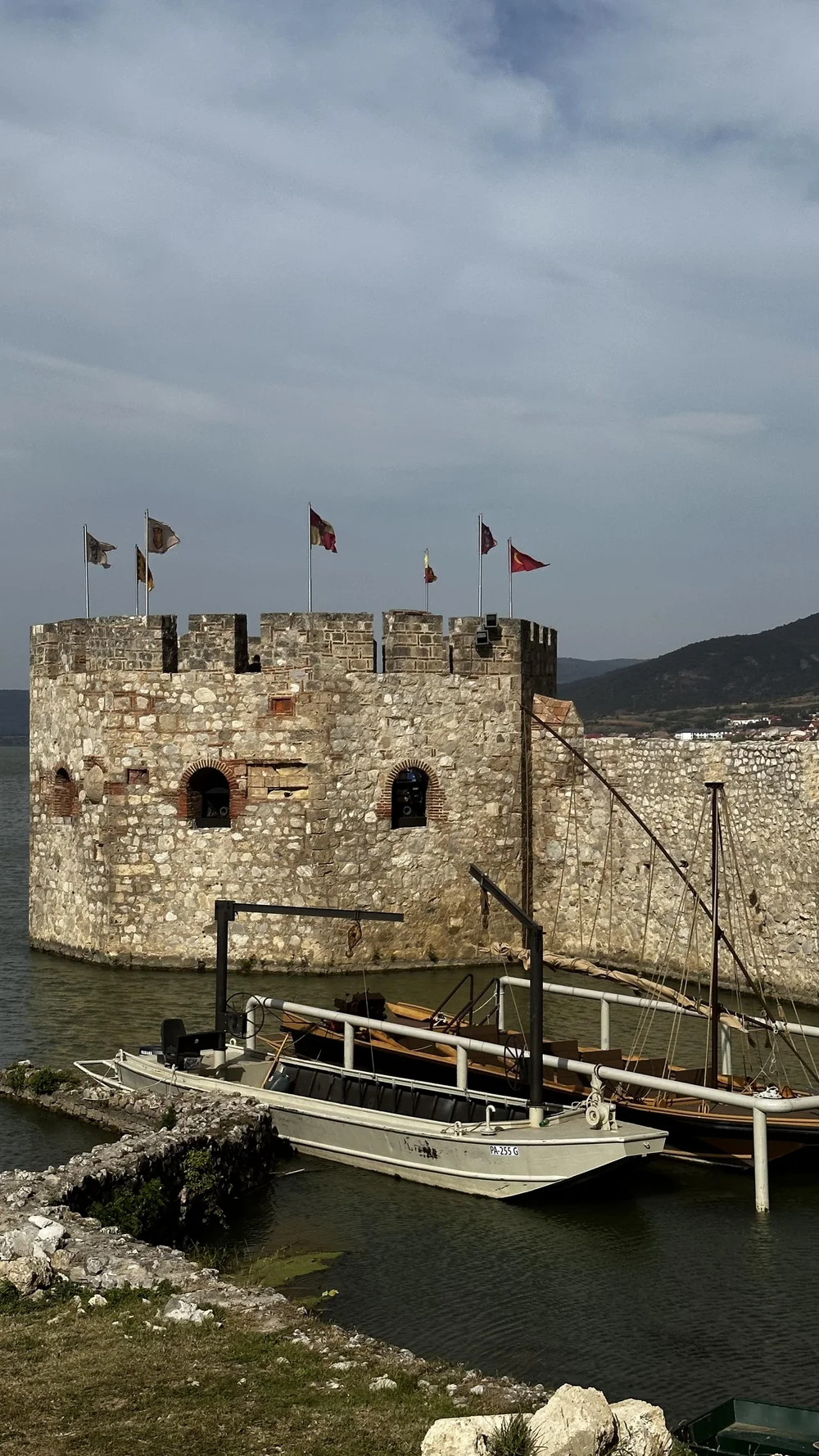 IMG_8202.jpeg