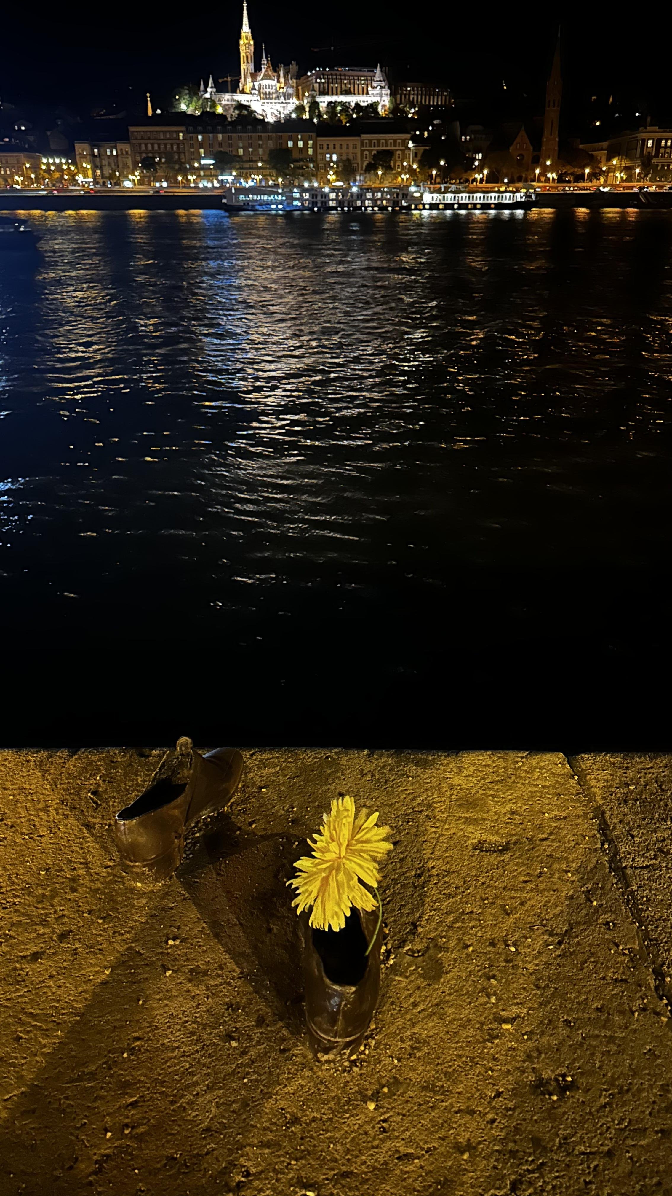 IMG_8778.jpeg