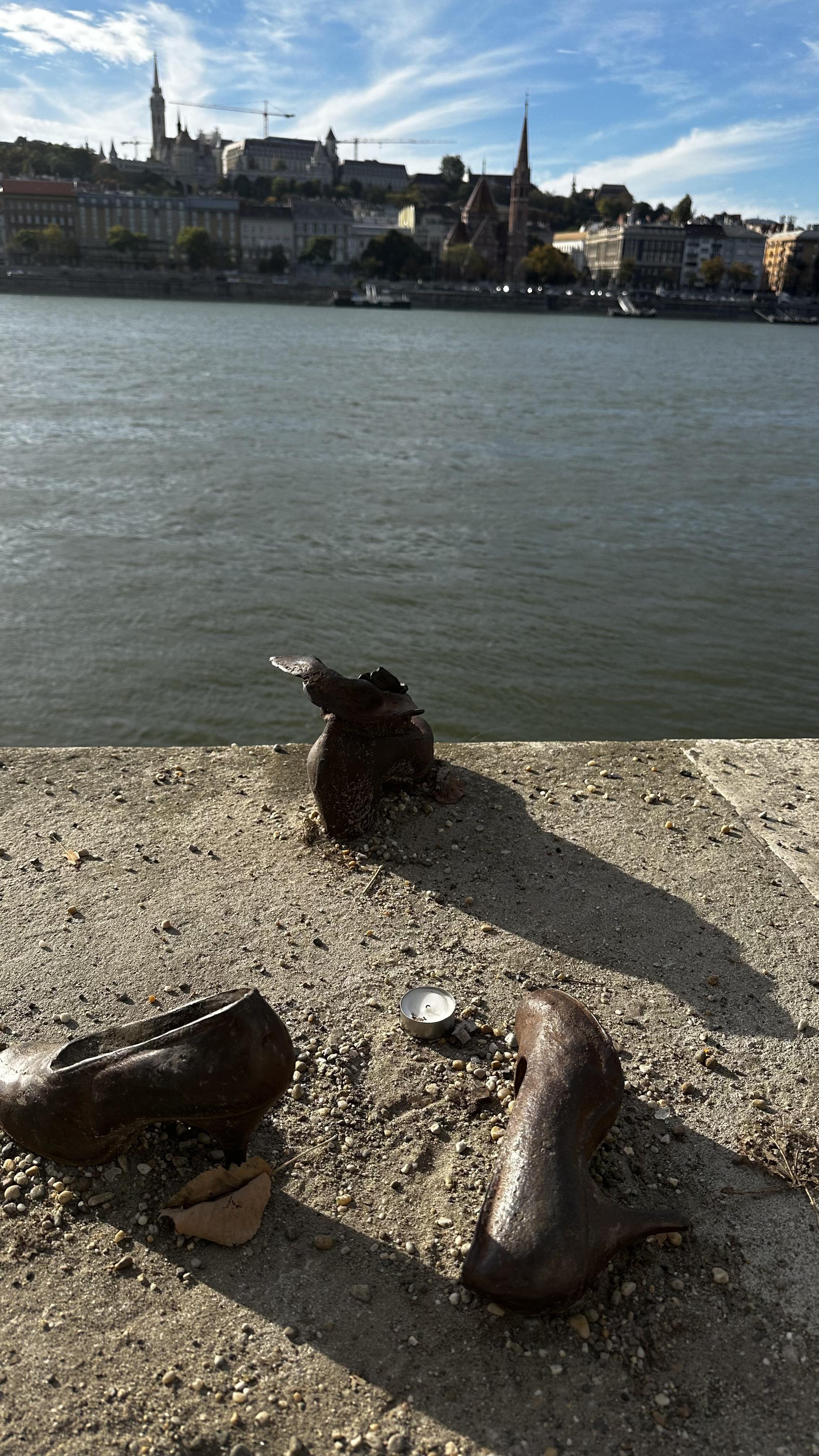 IMG_8918.jpeg