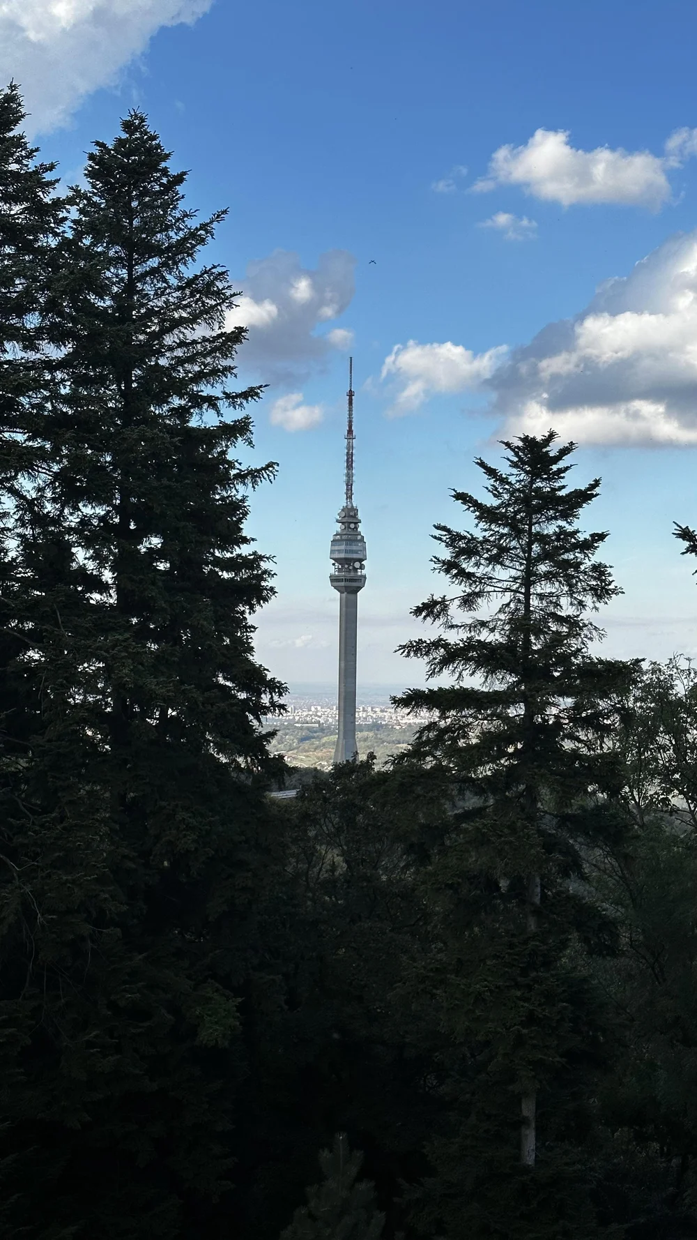 IMG_8526.jpeg