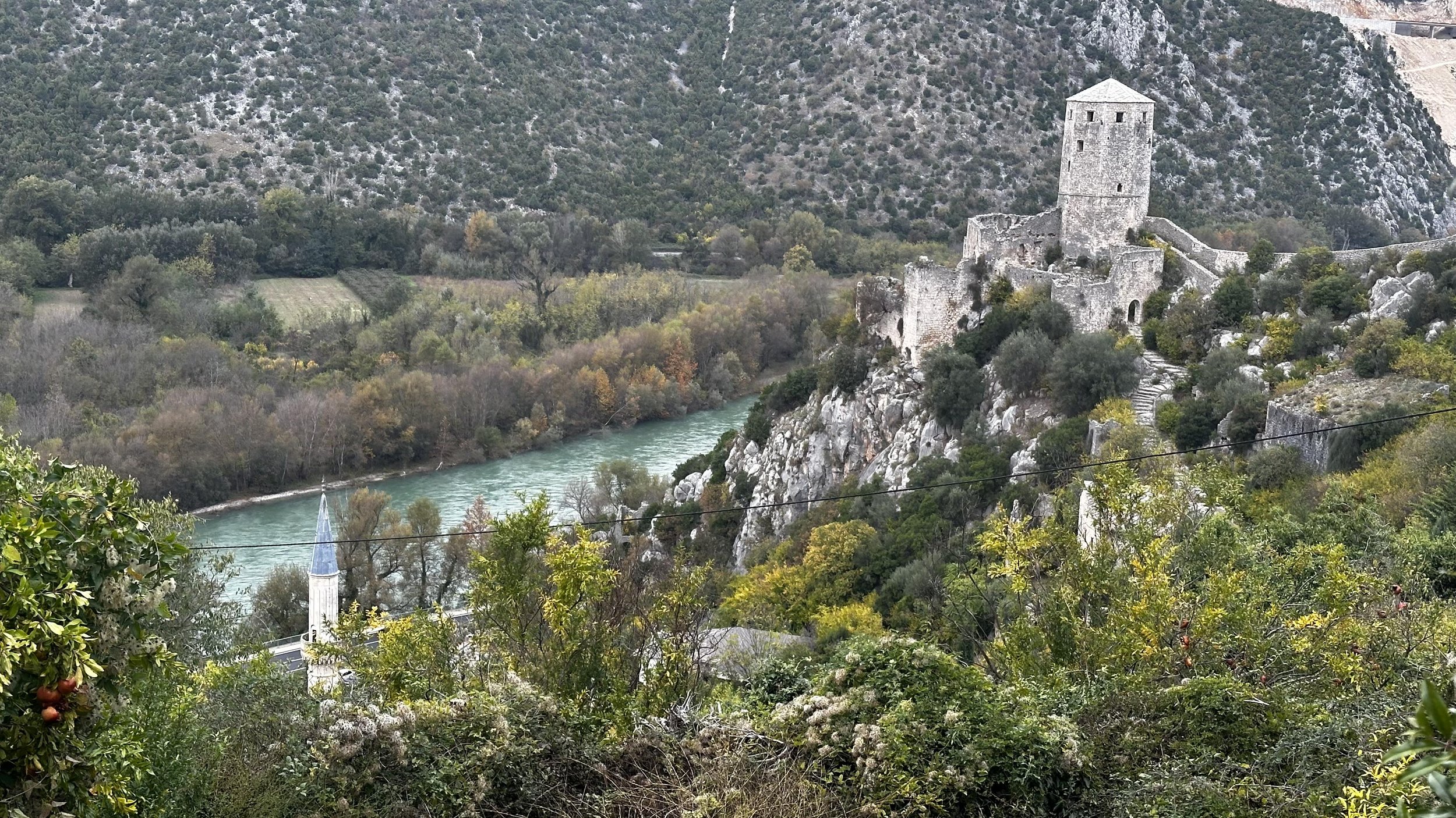 IMG_9296.jpeg