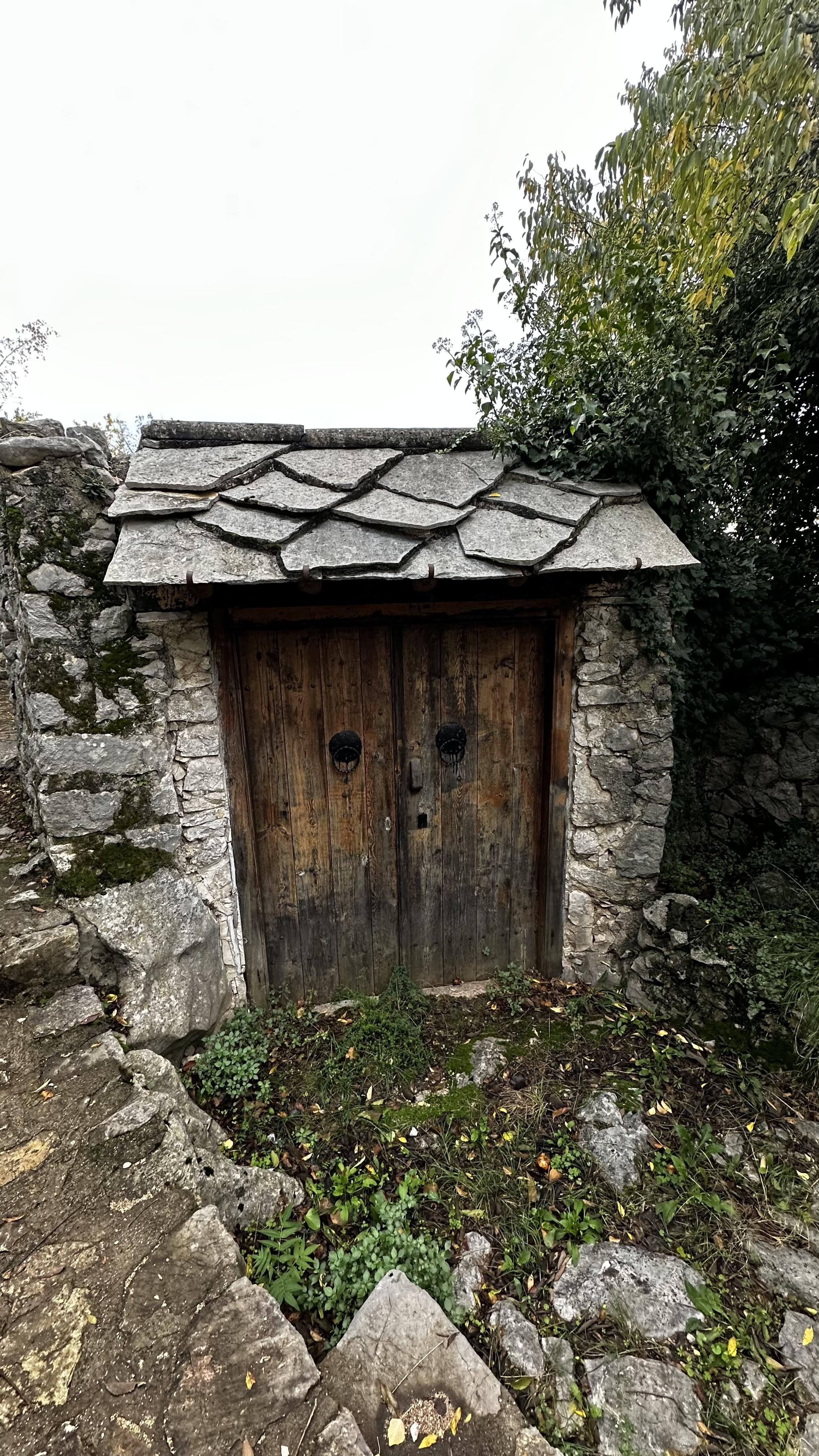 IMG_9294.jpeg
