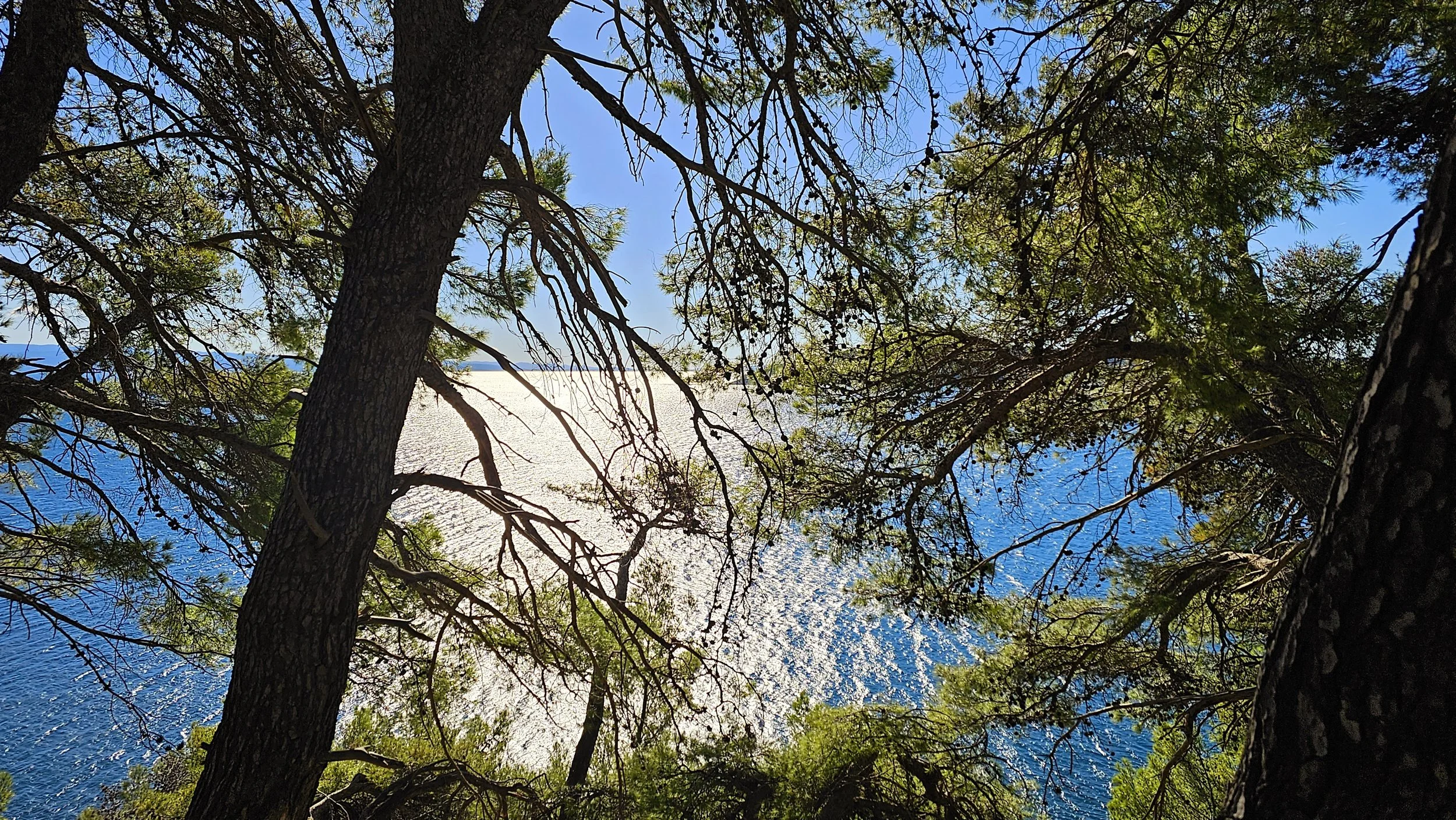 20231118_111414.jpg