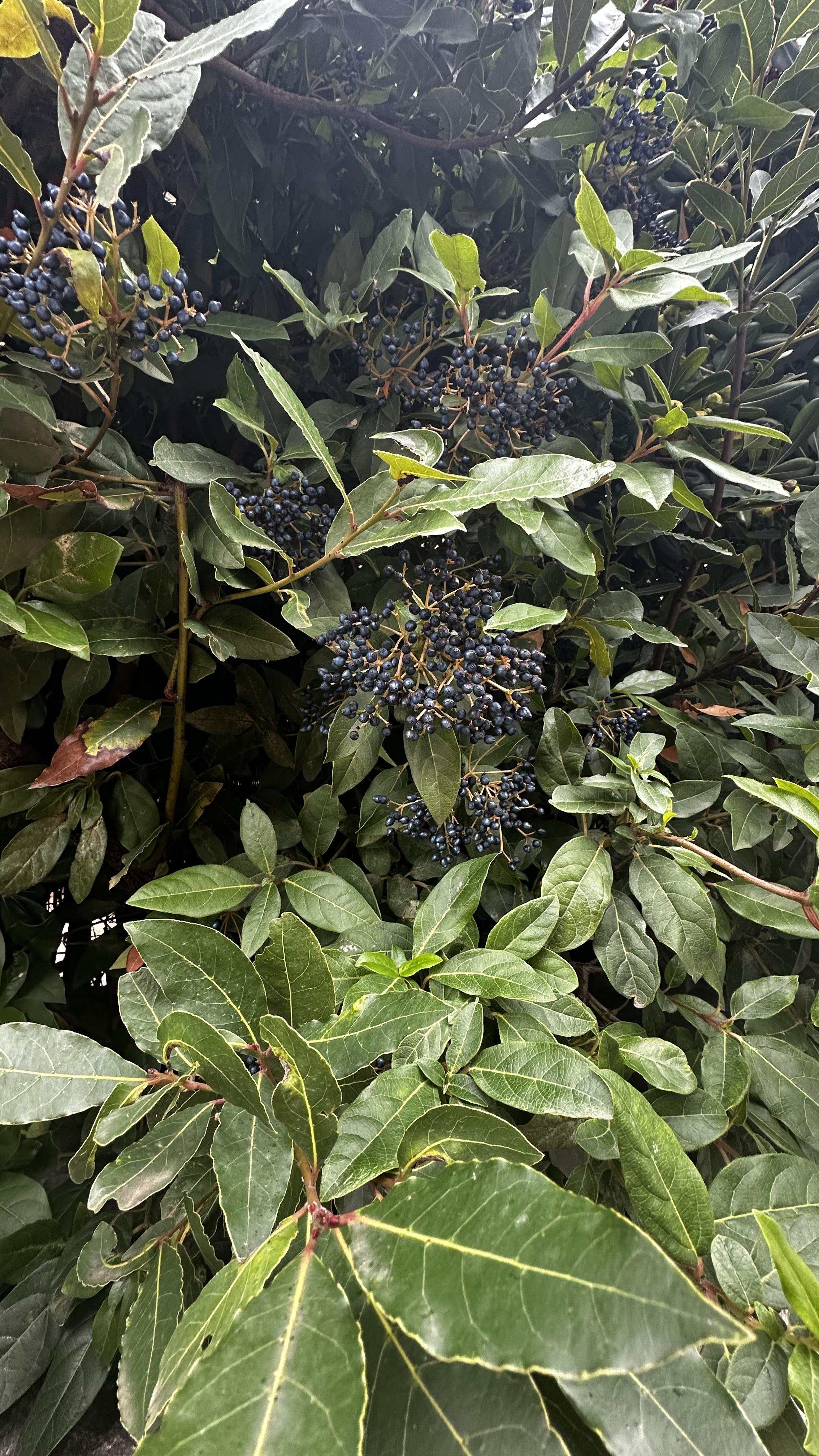 IMG_9482.jpeg