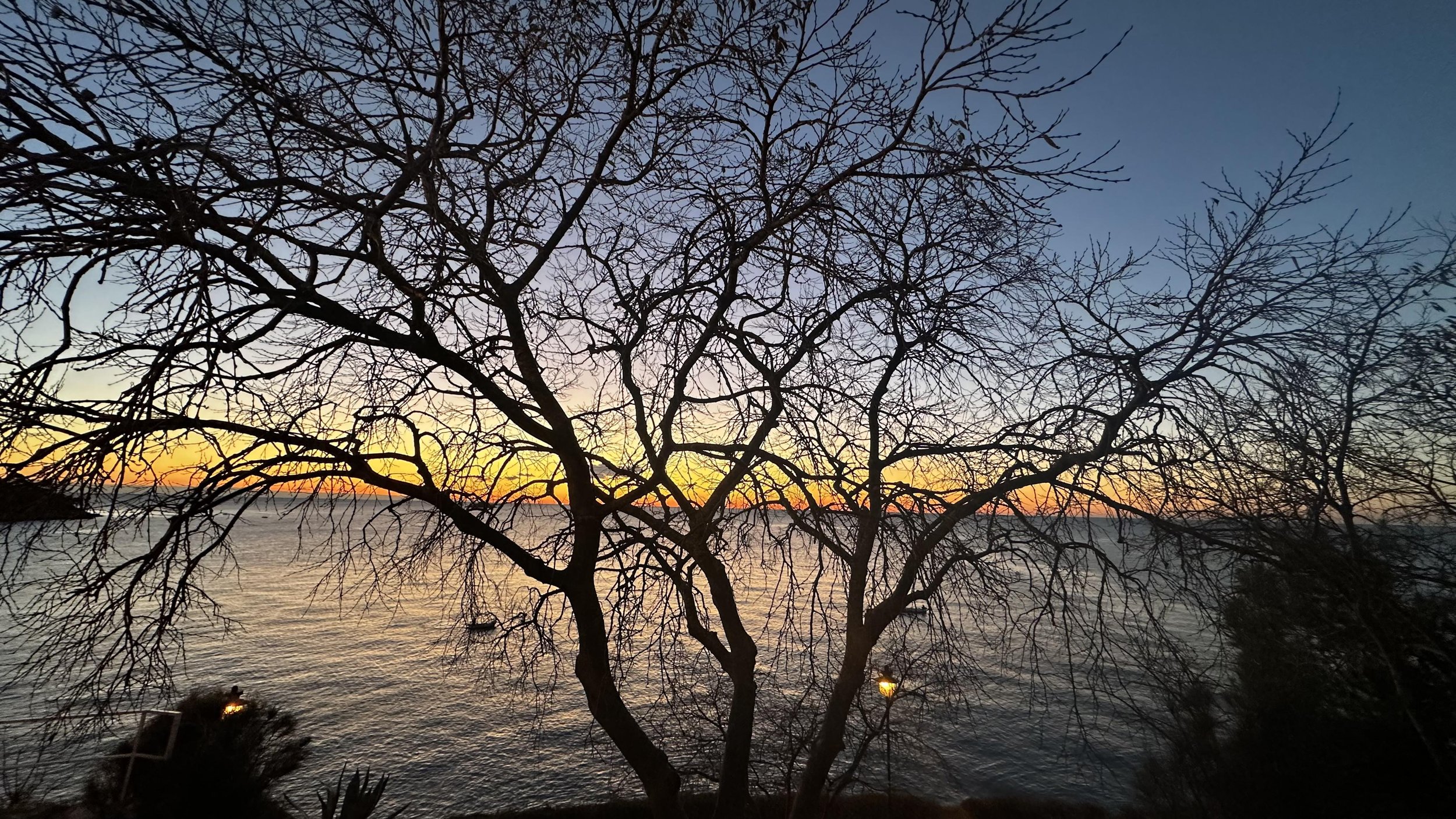 IMG_9824.jpeg