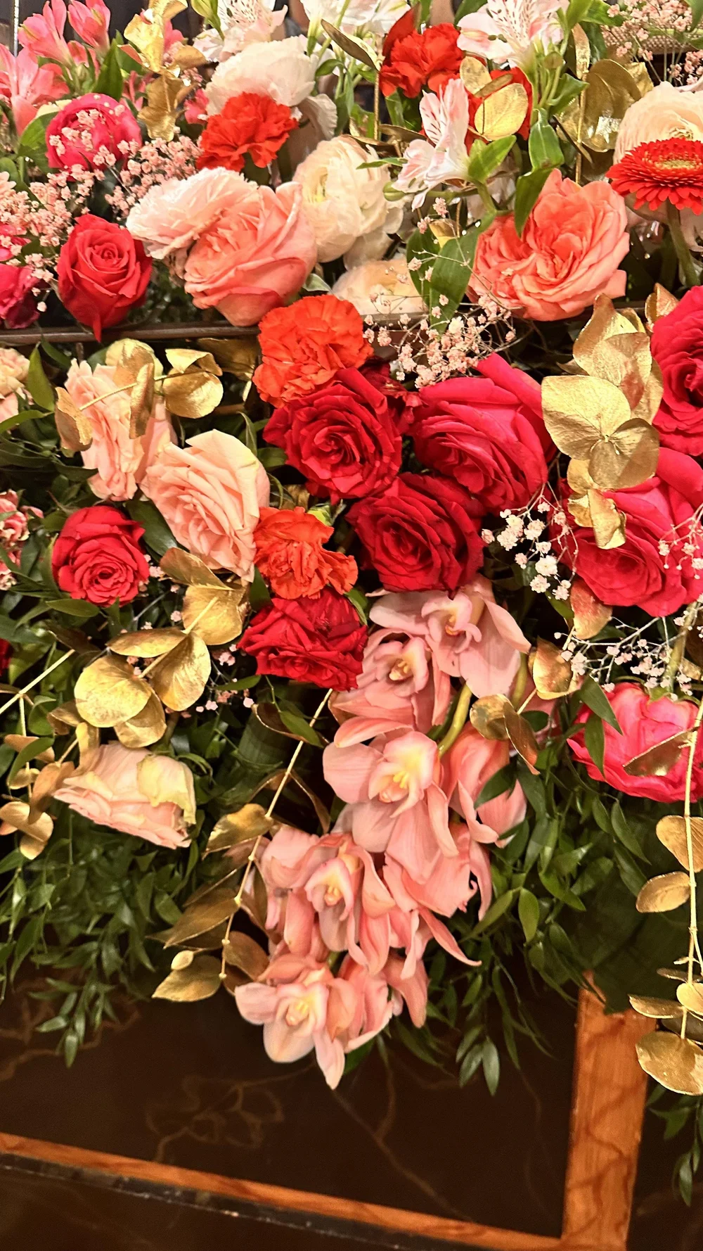 IMG_1432.jpeg