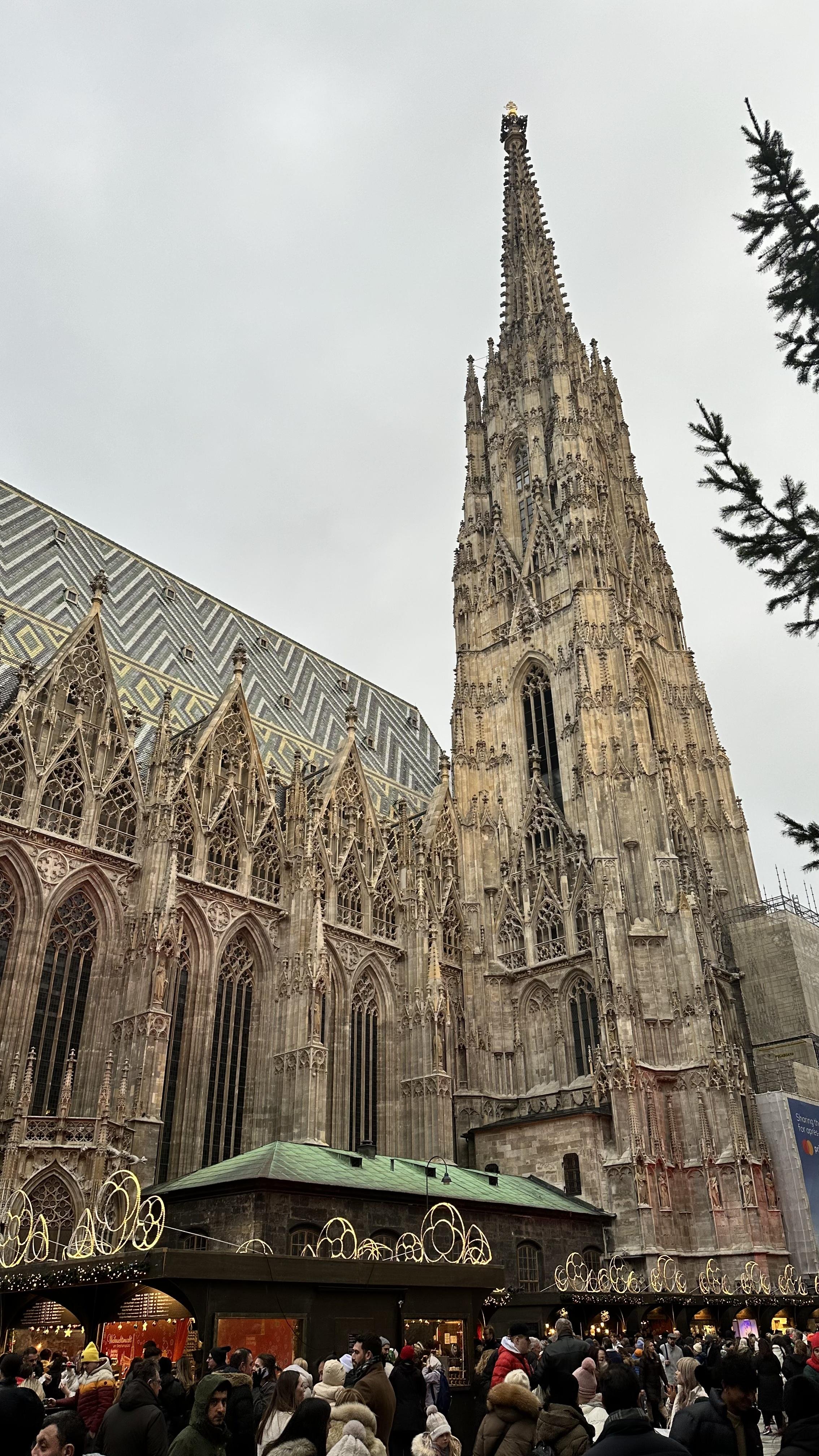 IMG_0330.jpeg