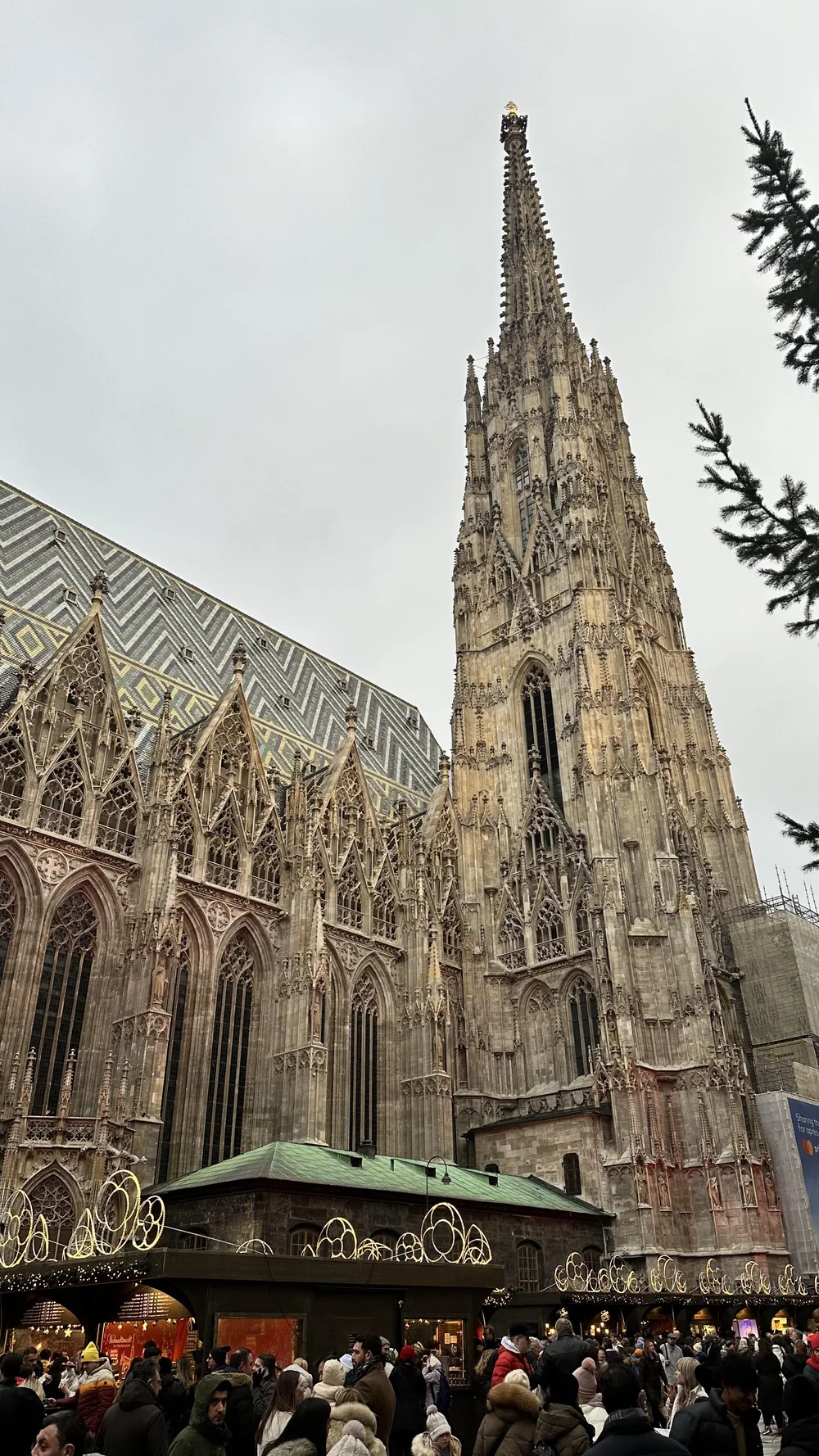 IMG_0330.jpeg