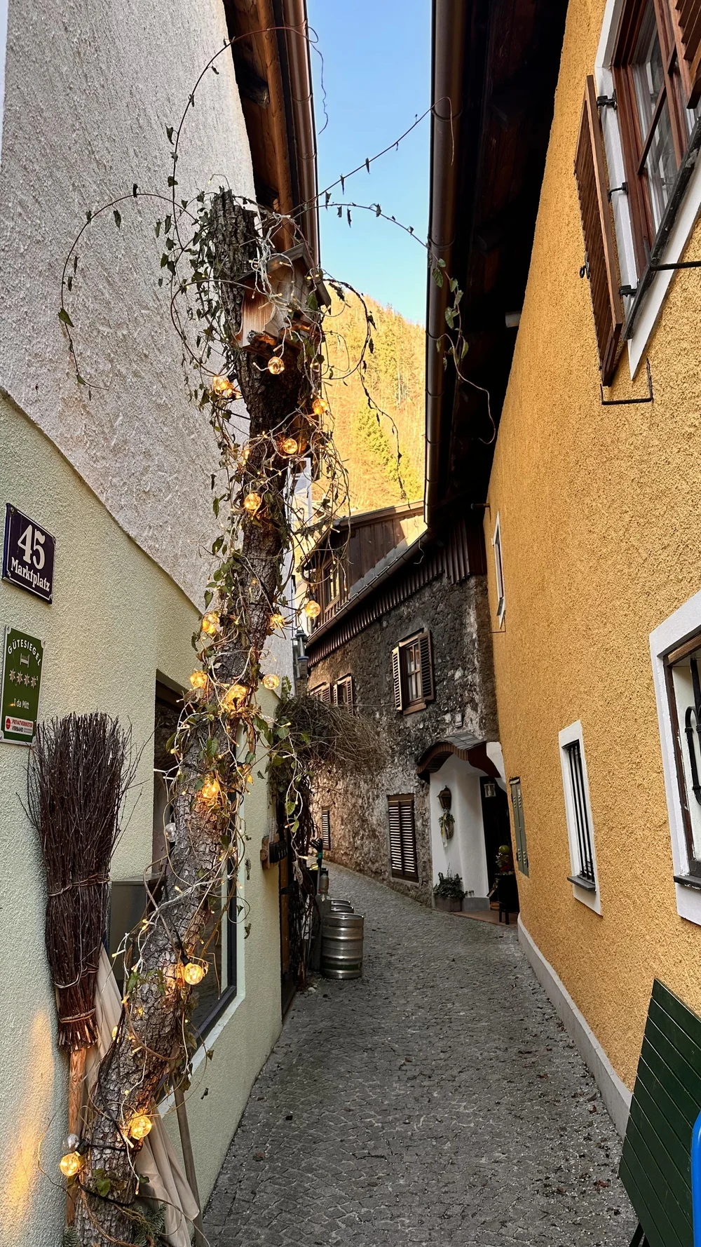IMG_0630.jpeg