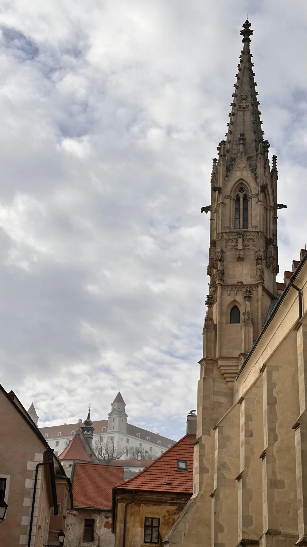IMG_1035.jpeg