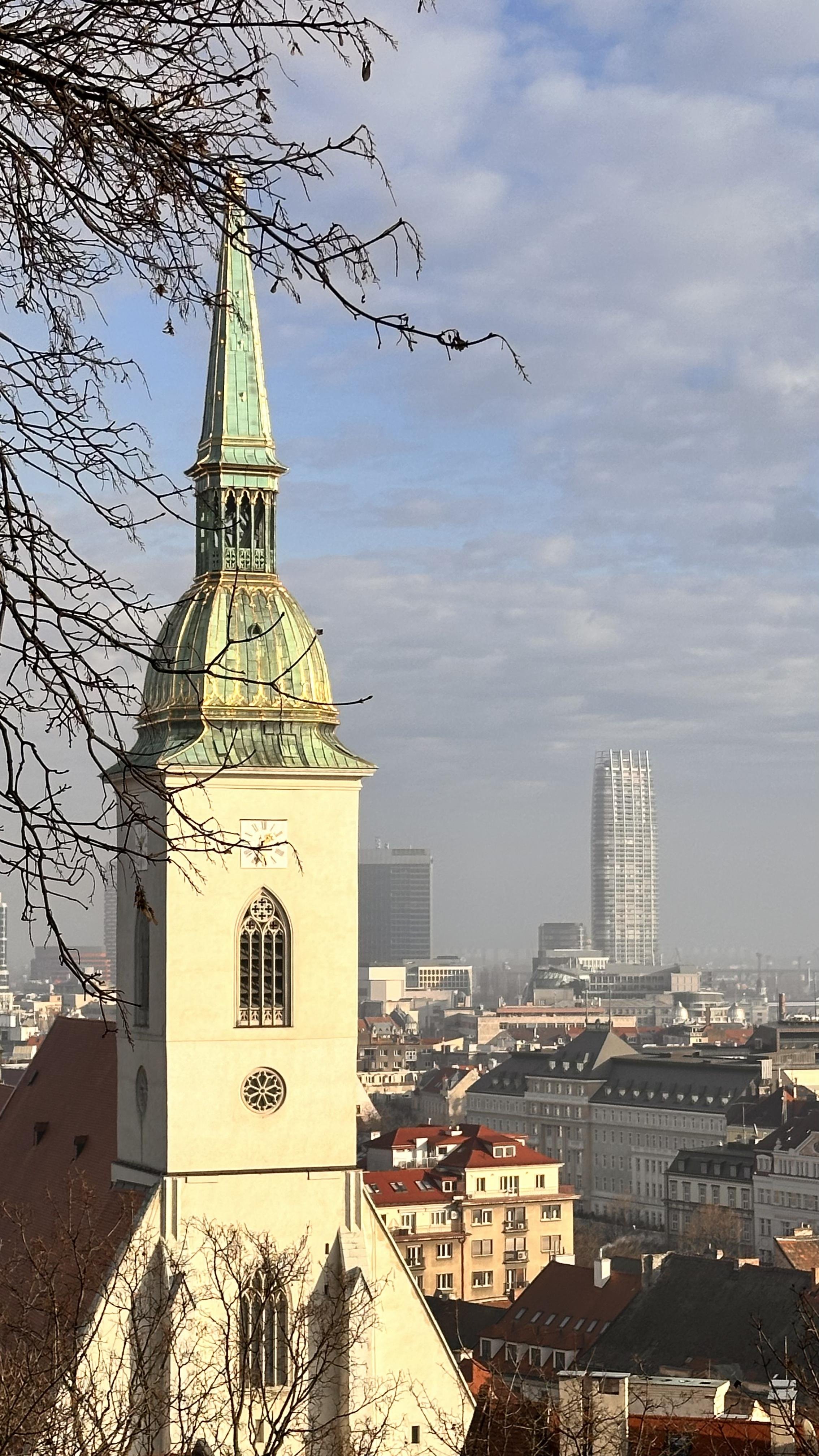 IMG_1113.jpeg