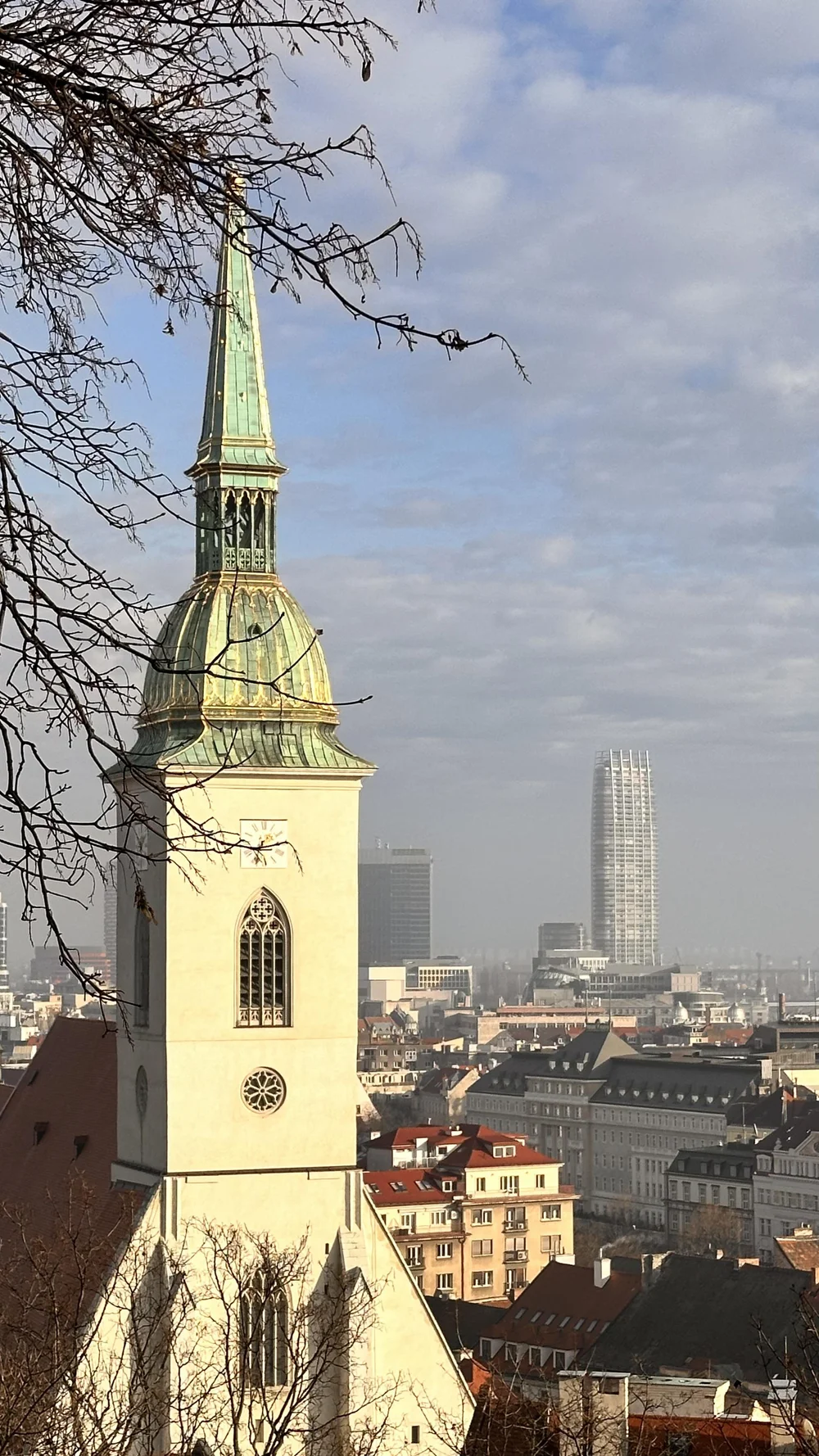 IMG_1113.jpeg
