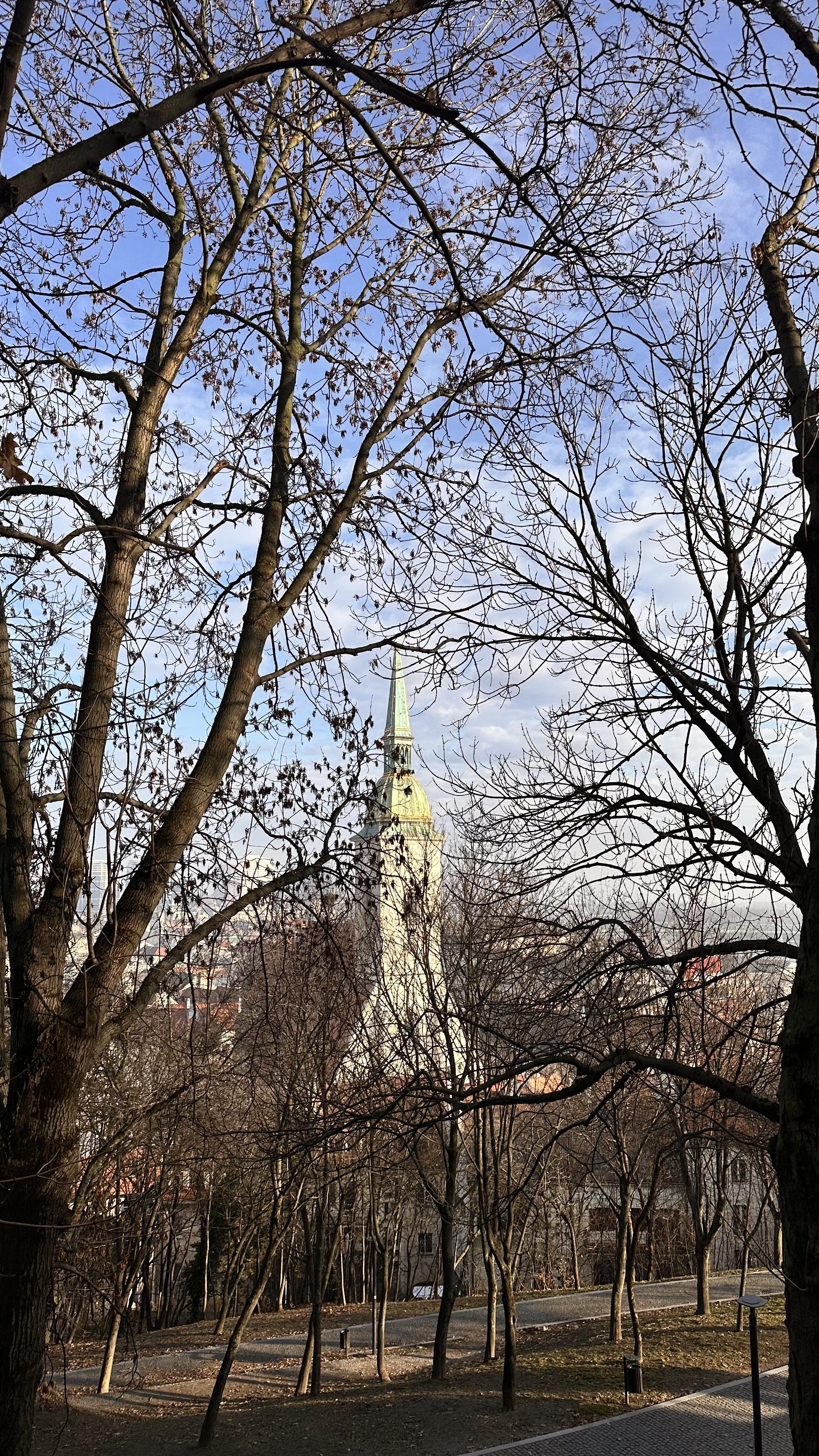 IMG_1115.jpeg