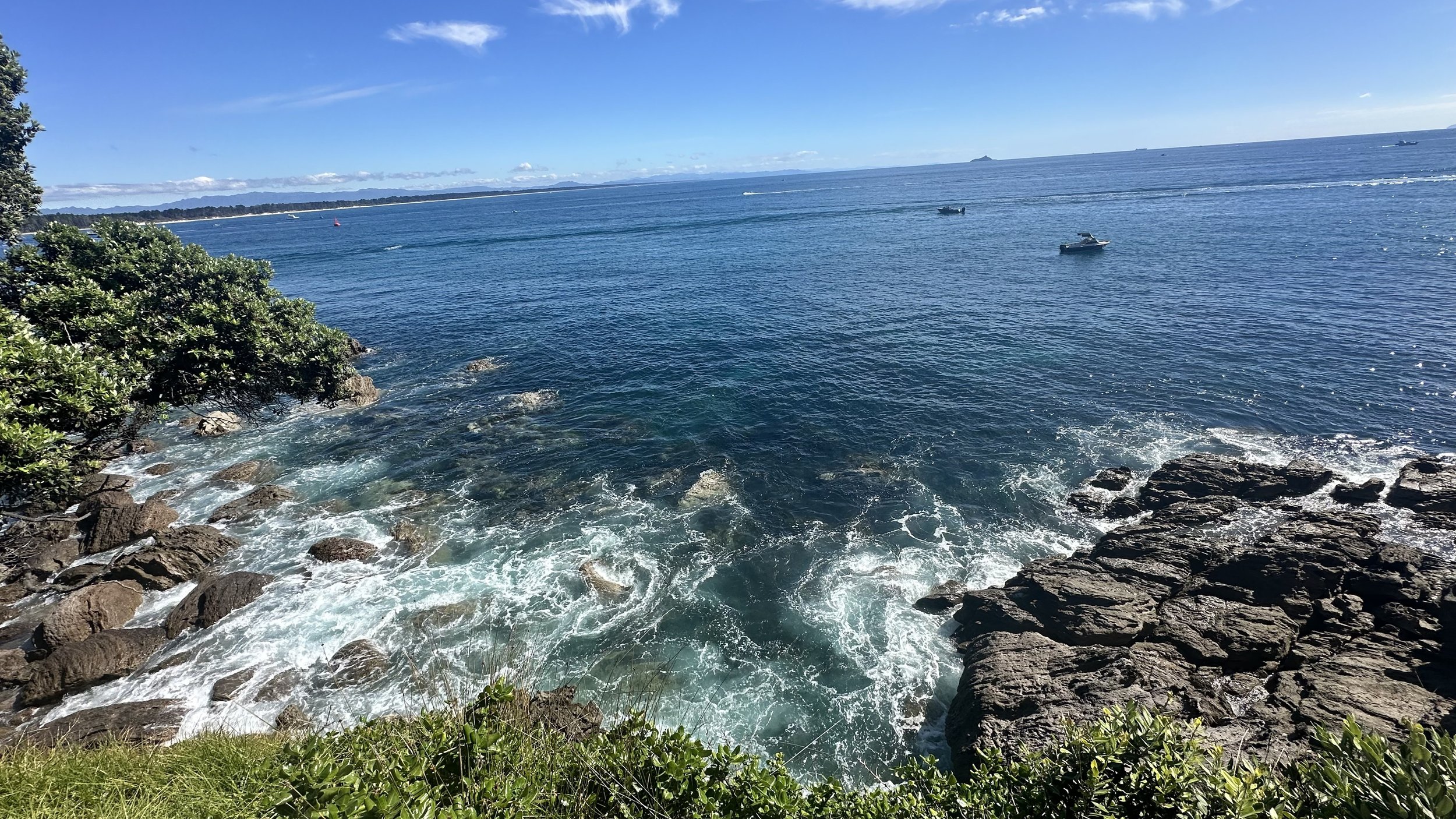 IMG_4049.jpeg