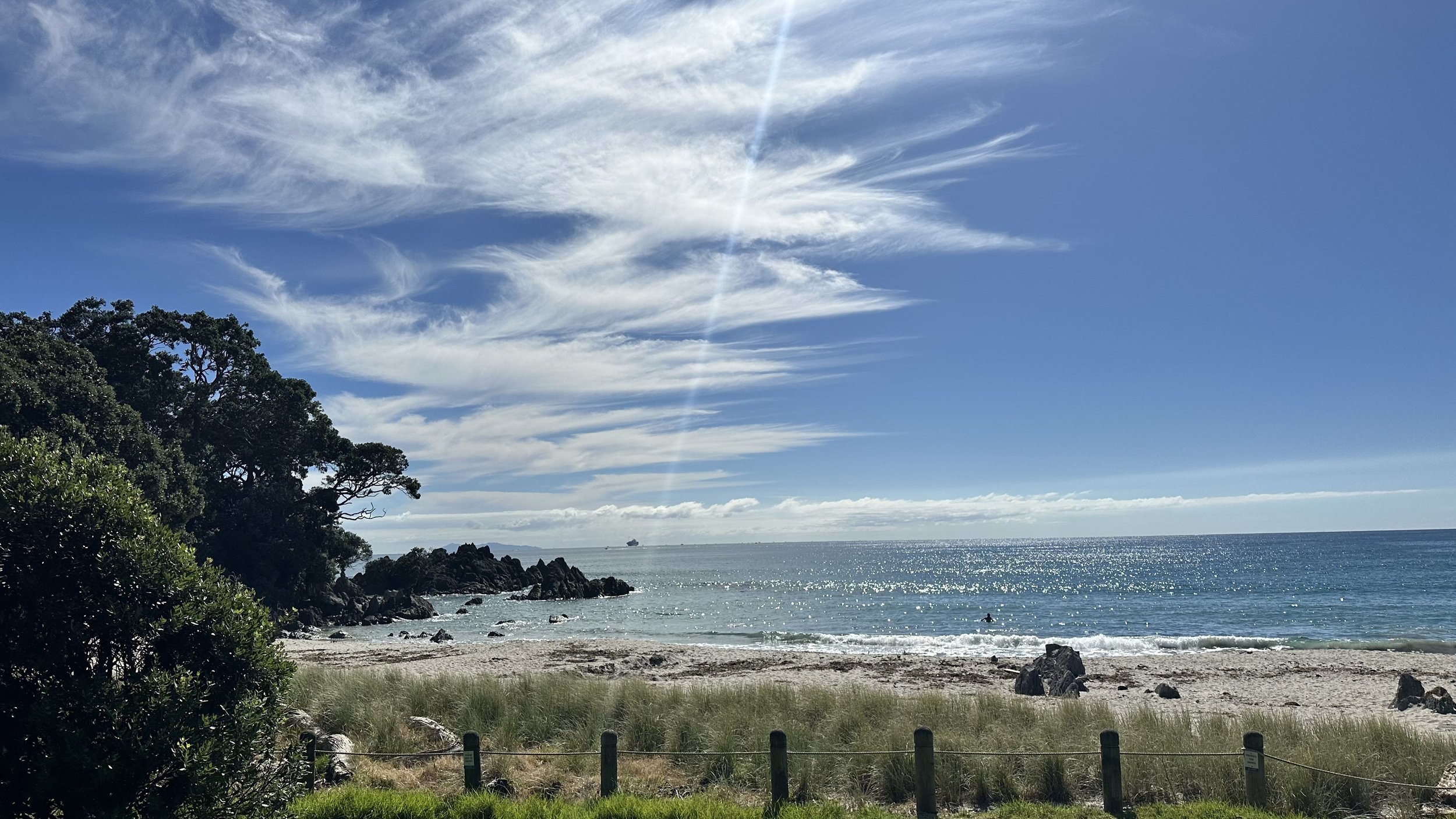 IMG_4018.jpeg
