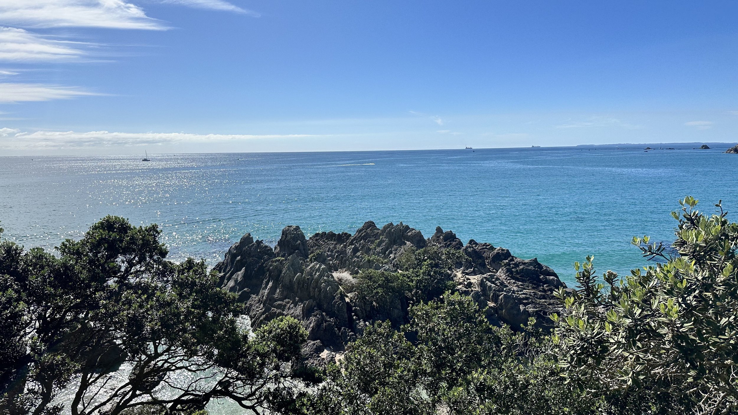 IMG_4026.jpeg