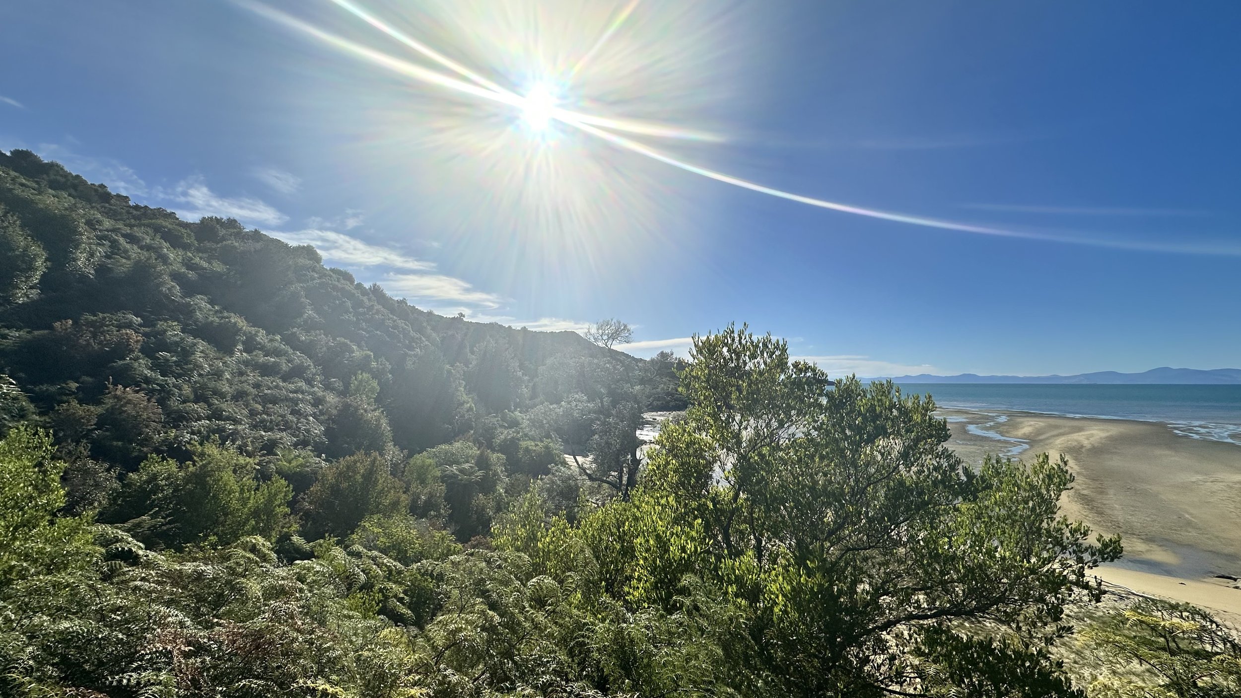 IMG_2968.jpeg