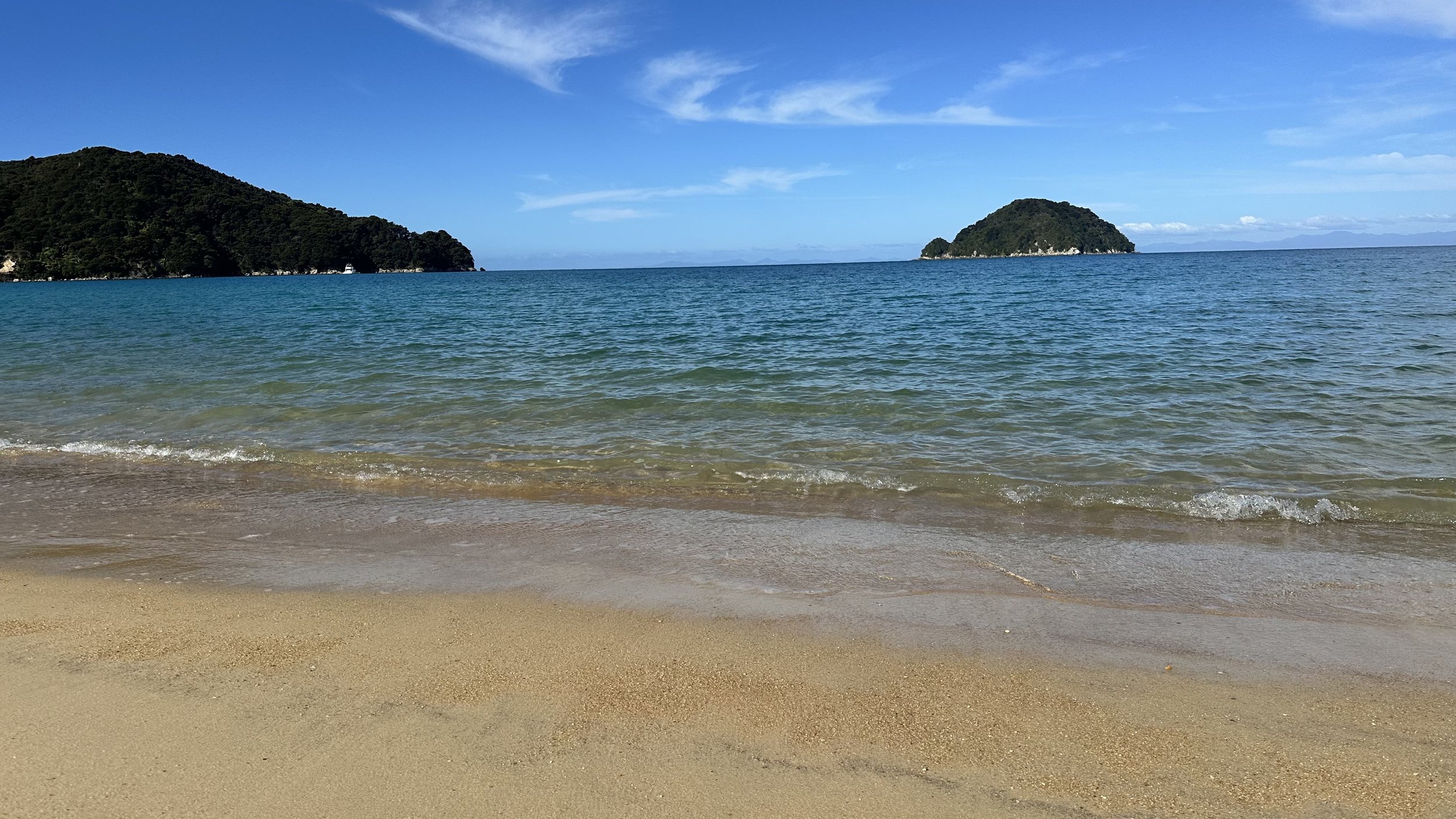 IMG_3095.jpeg