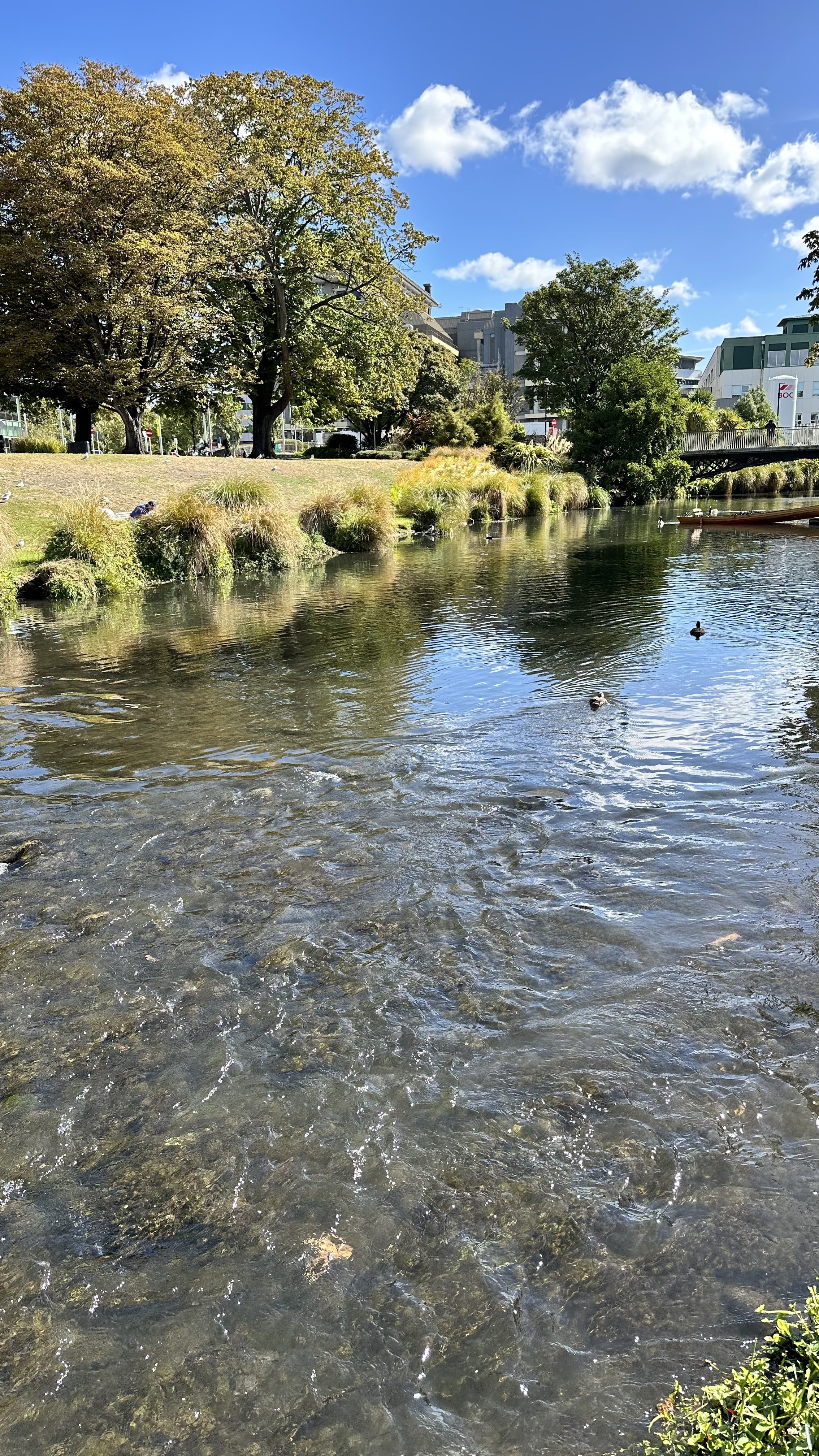 IMG_3231.jpeg